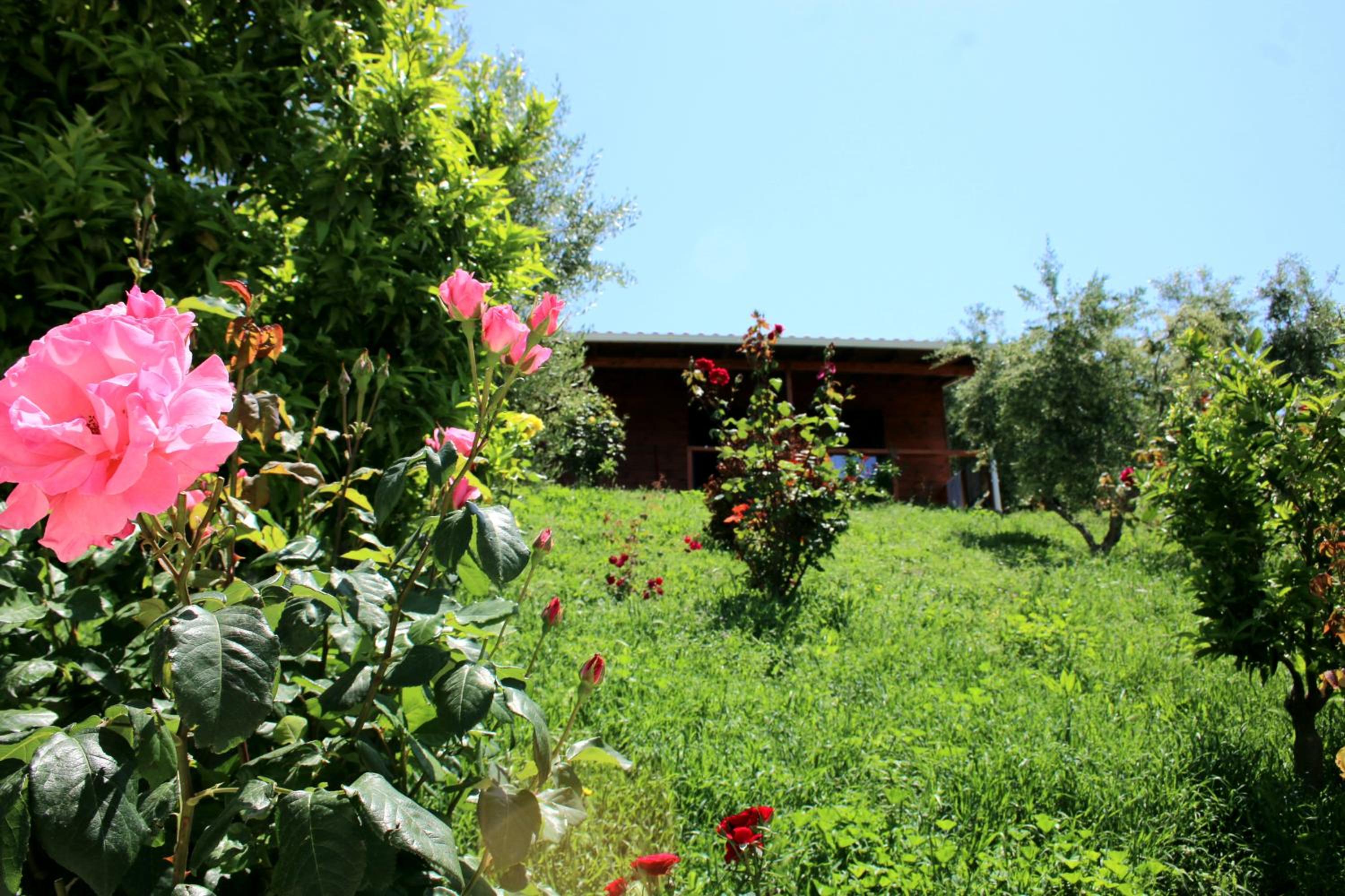 Agroturizem Bylis