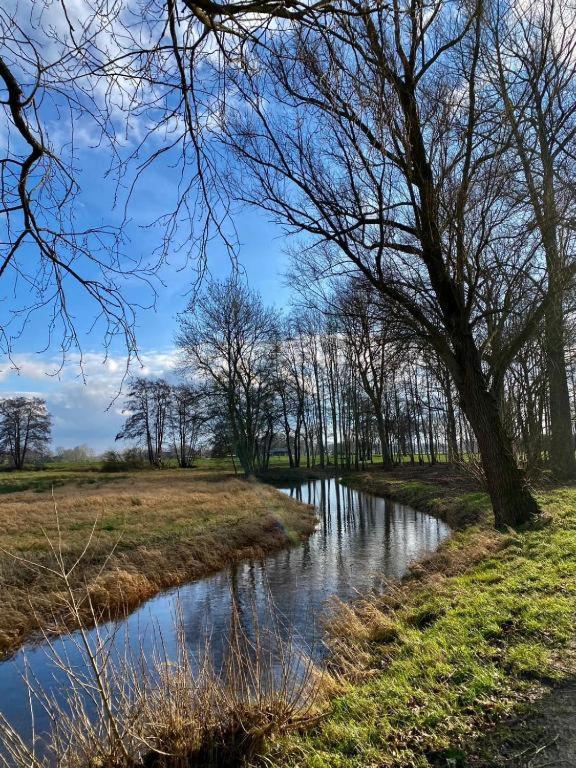 De Compaenenhorst