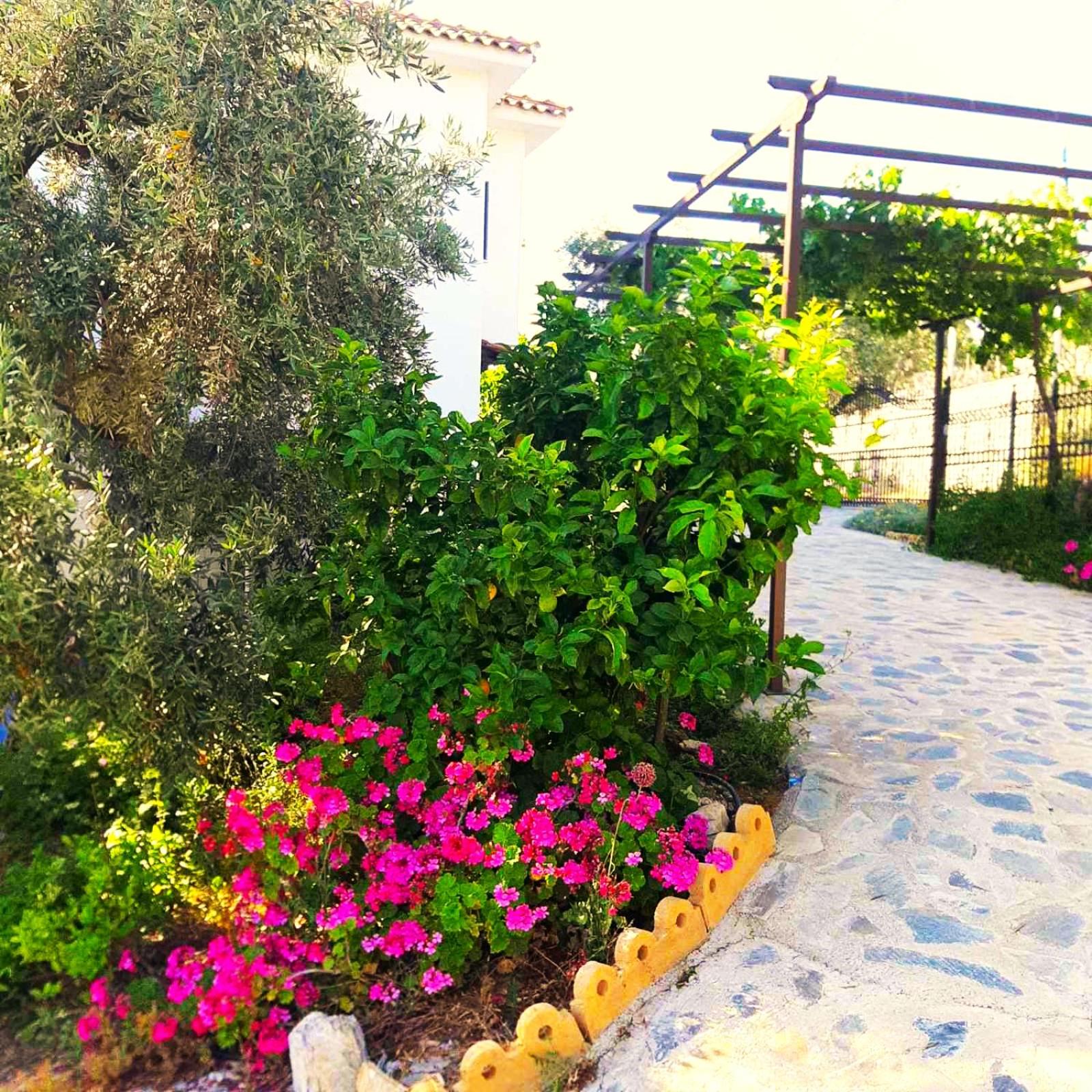 Photo 40