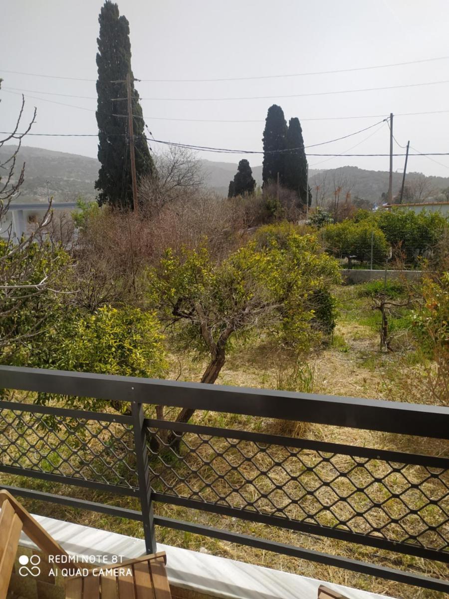 Goldie's Home photo 5