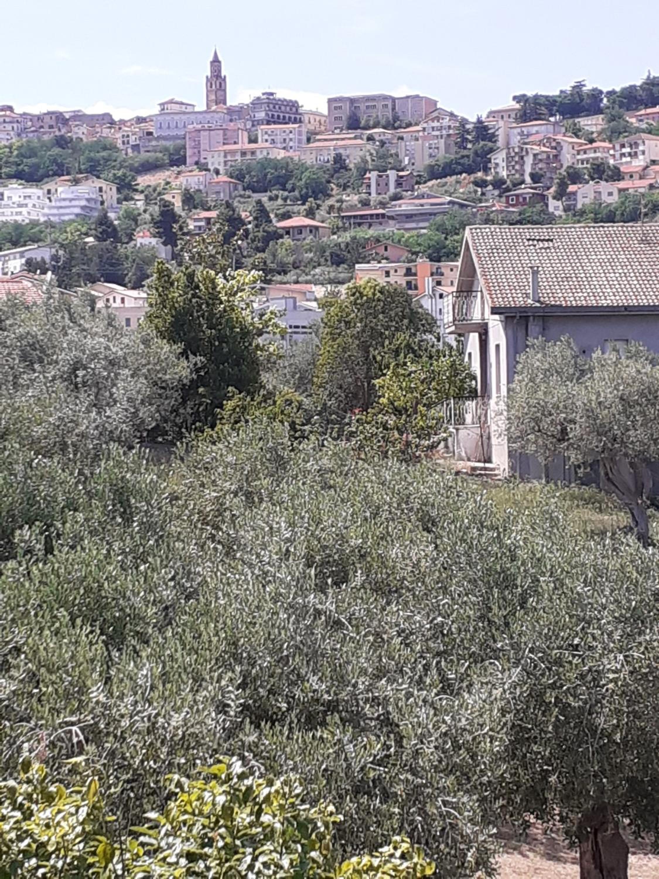 Photo 38