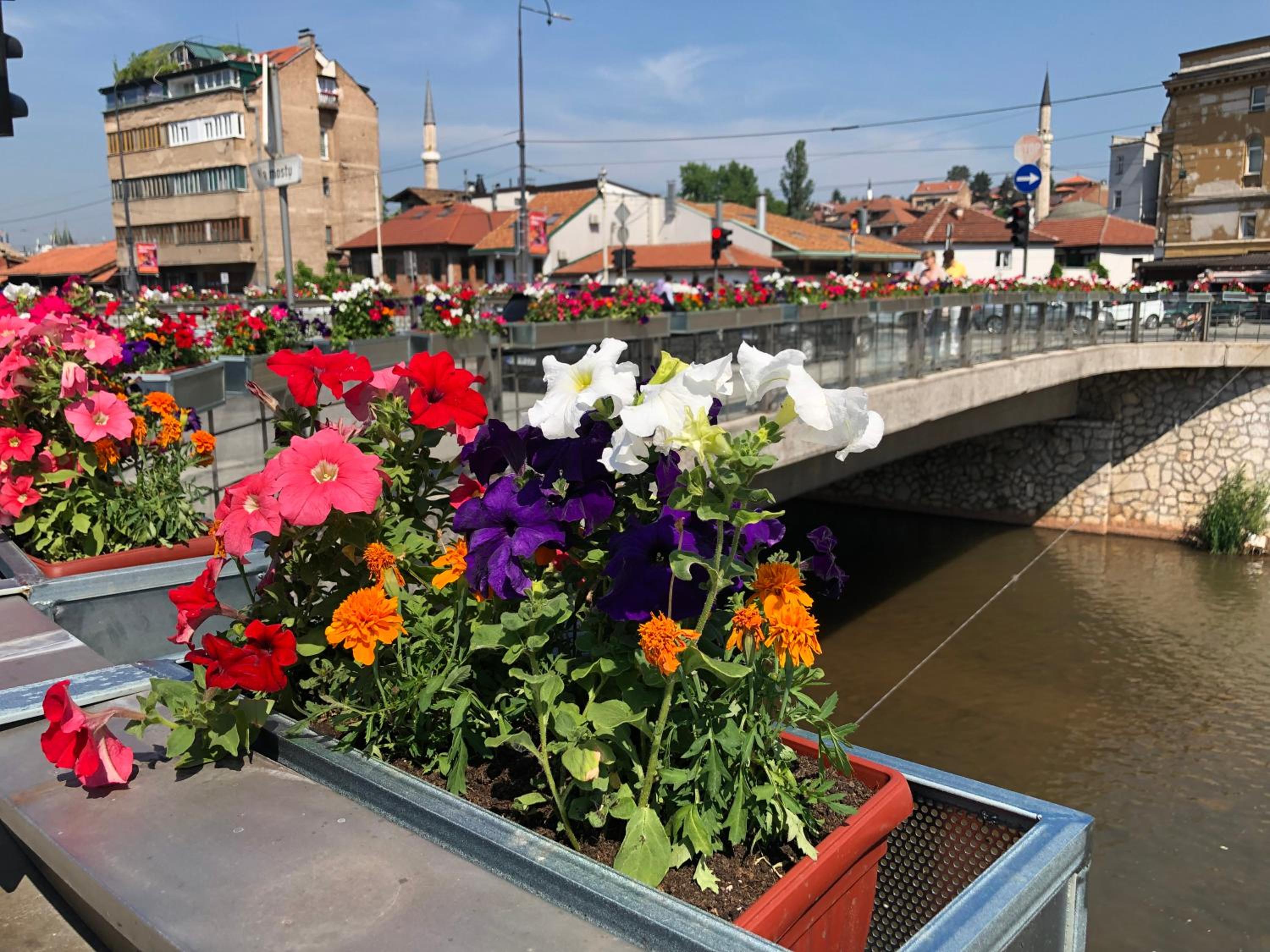 SH Apartments Bistrik-Sarajevo