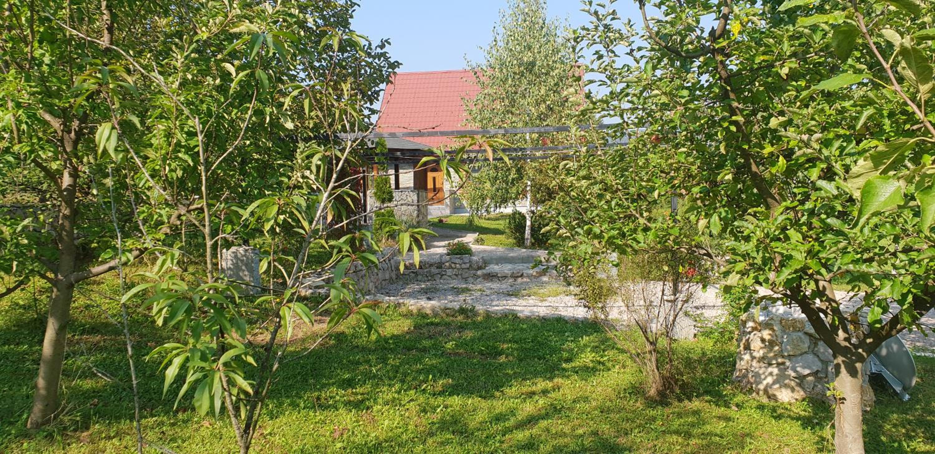 Green Garden Lohovo