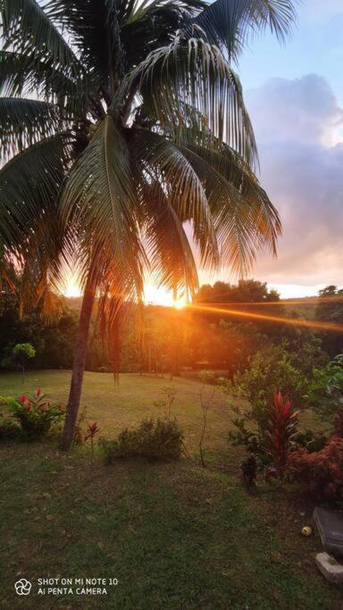 Villa tropicale charmant T2 dans un cadre verdoyant view 2