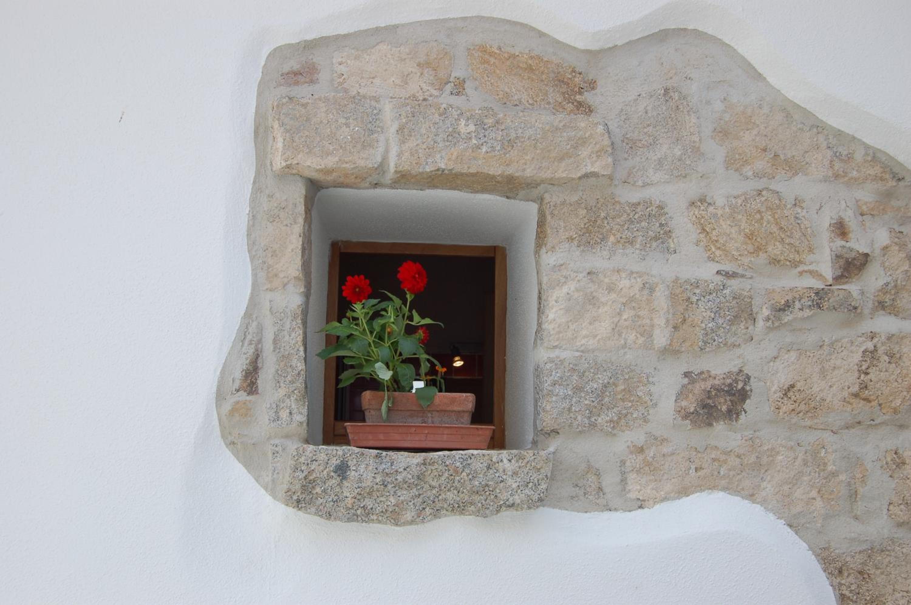 Olbia Domus Inn