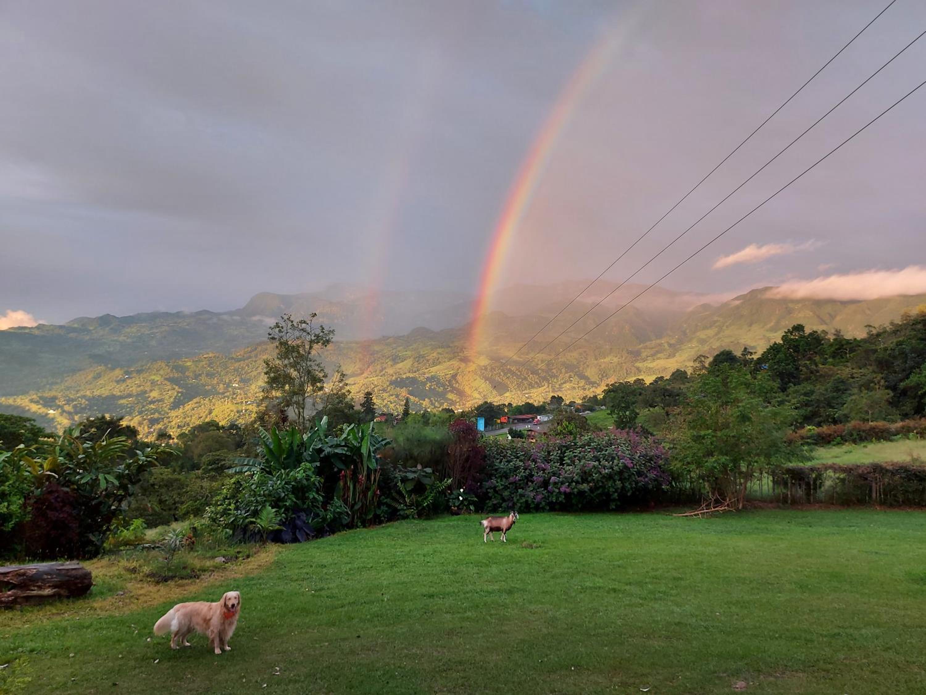 Naturaleza en armonia
