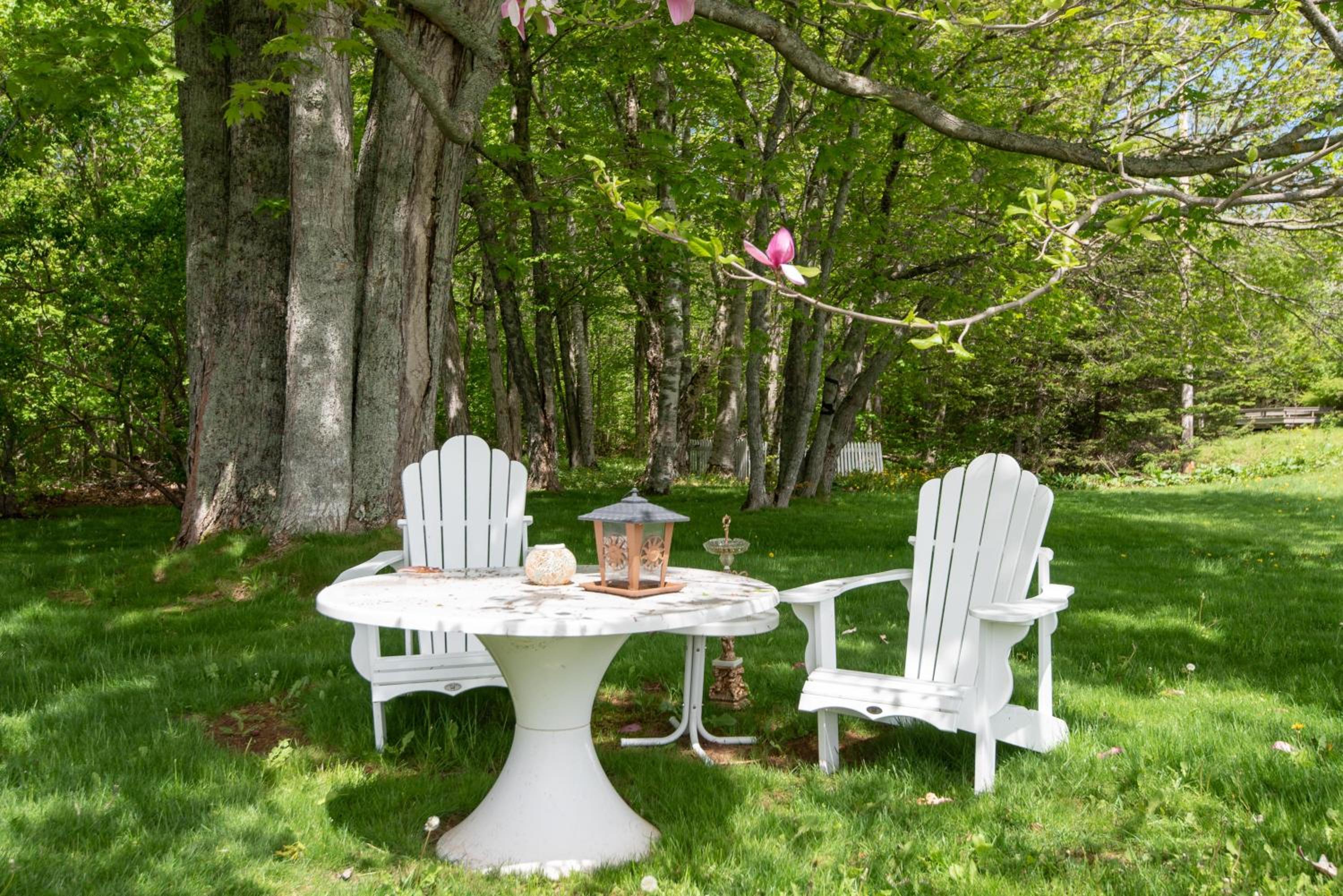 Cornwall Vacations - Chez Nous - Property Image 34