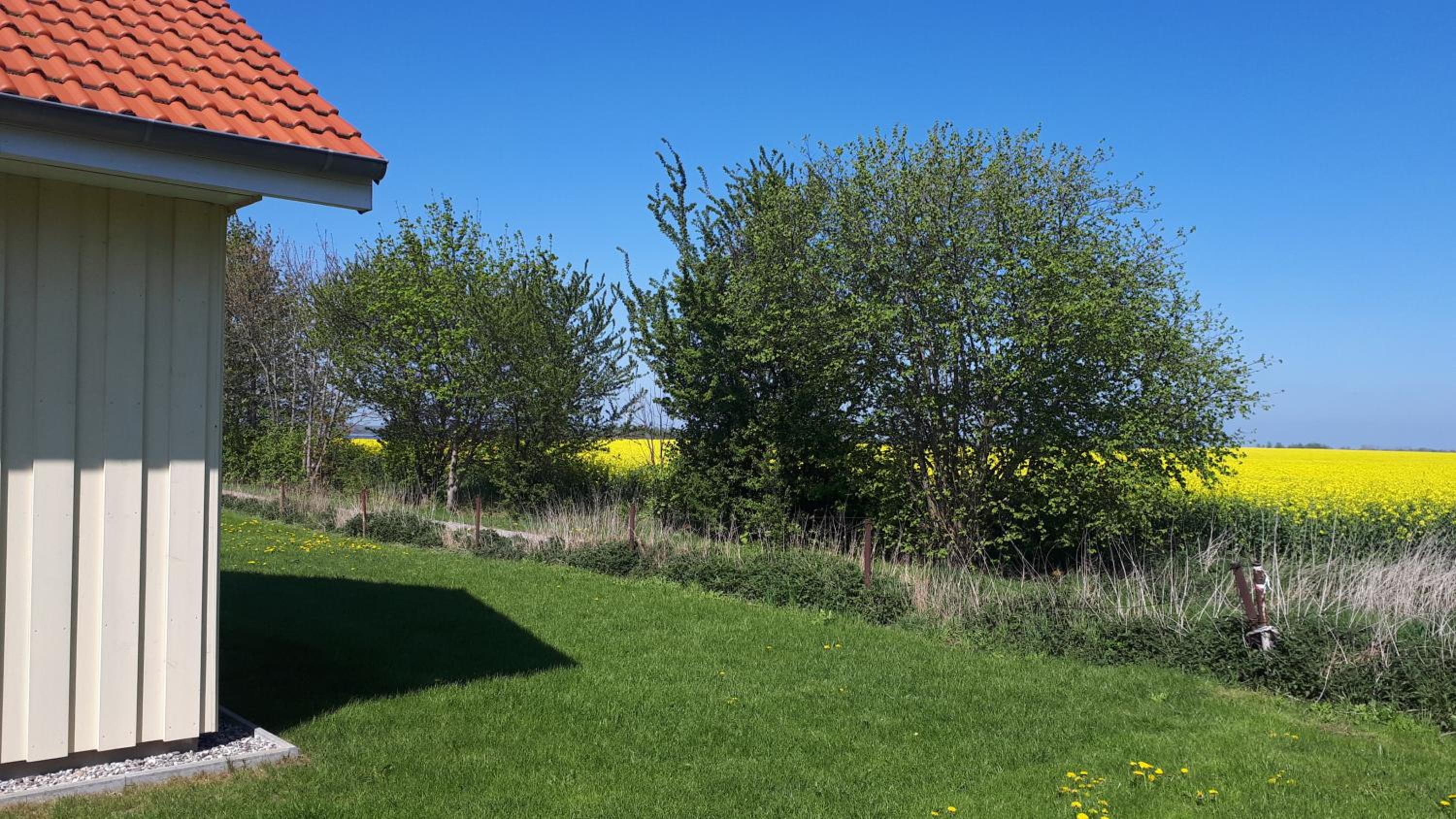 Ferienhaus Seestern