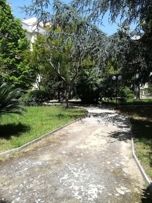 Casa vacanza, Le 5 Palme, a Trani photo 5