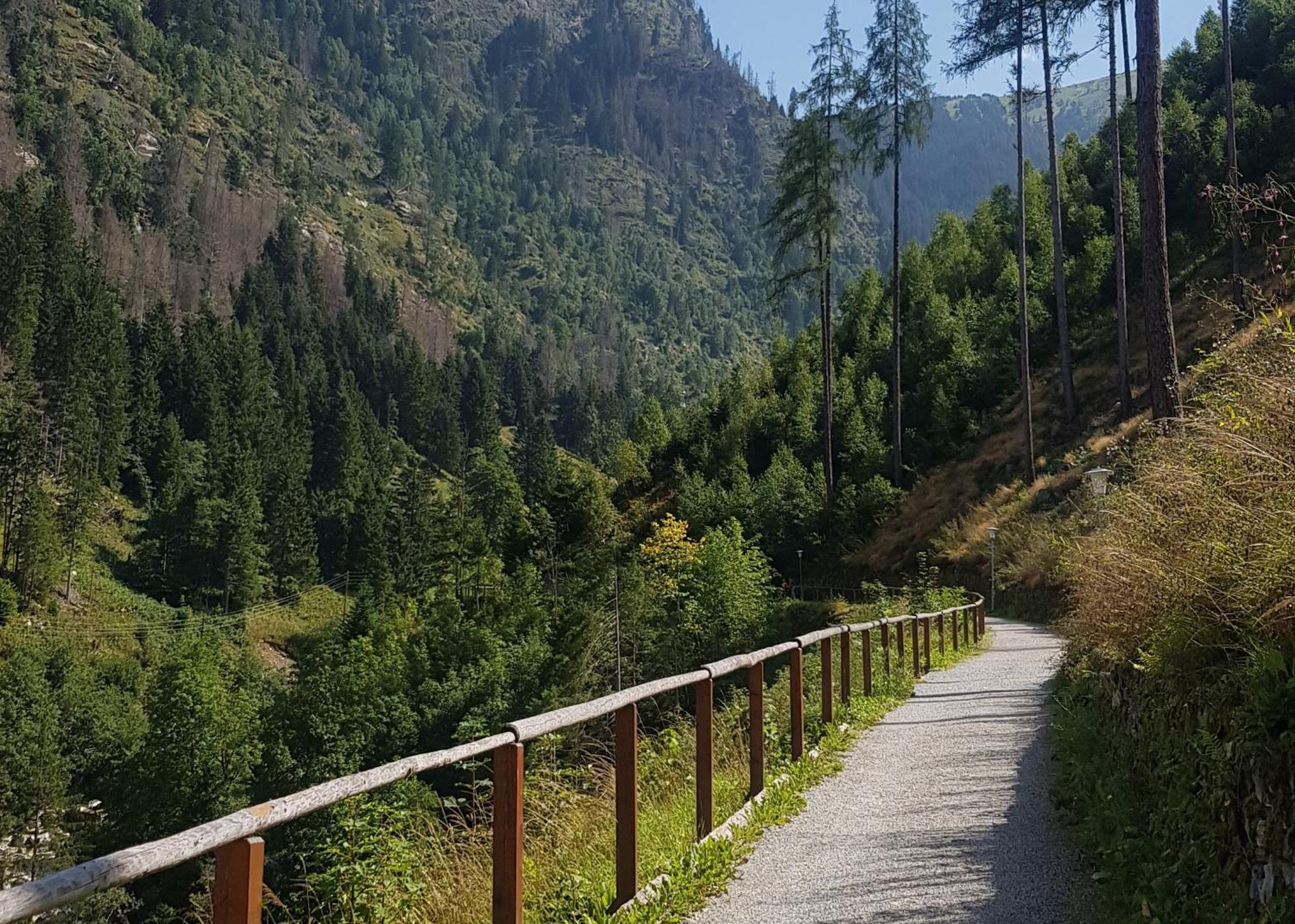Appartement Alpenkönig