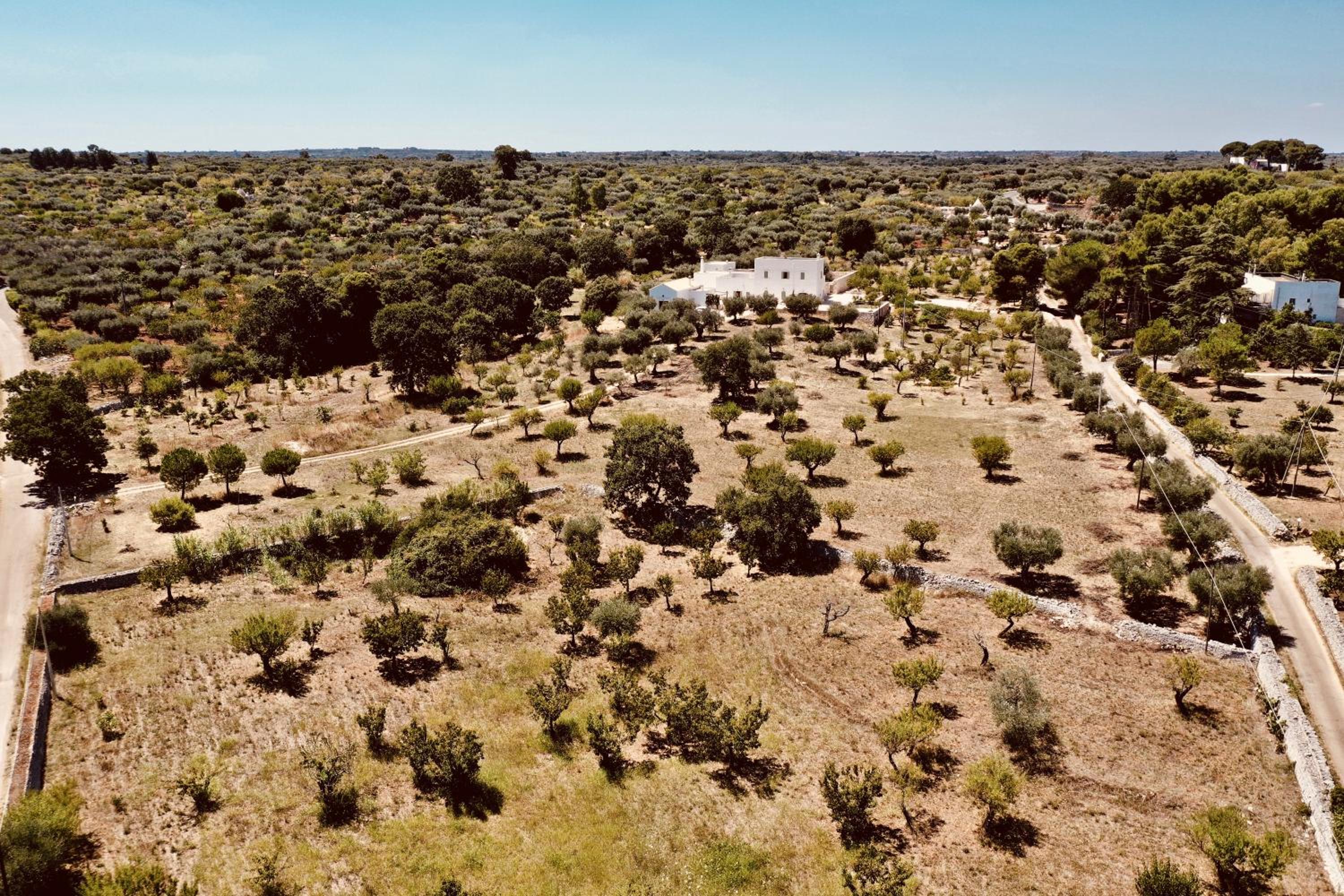 Masseria Fenicia view 2
