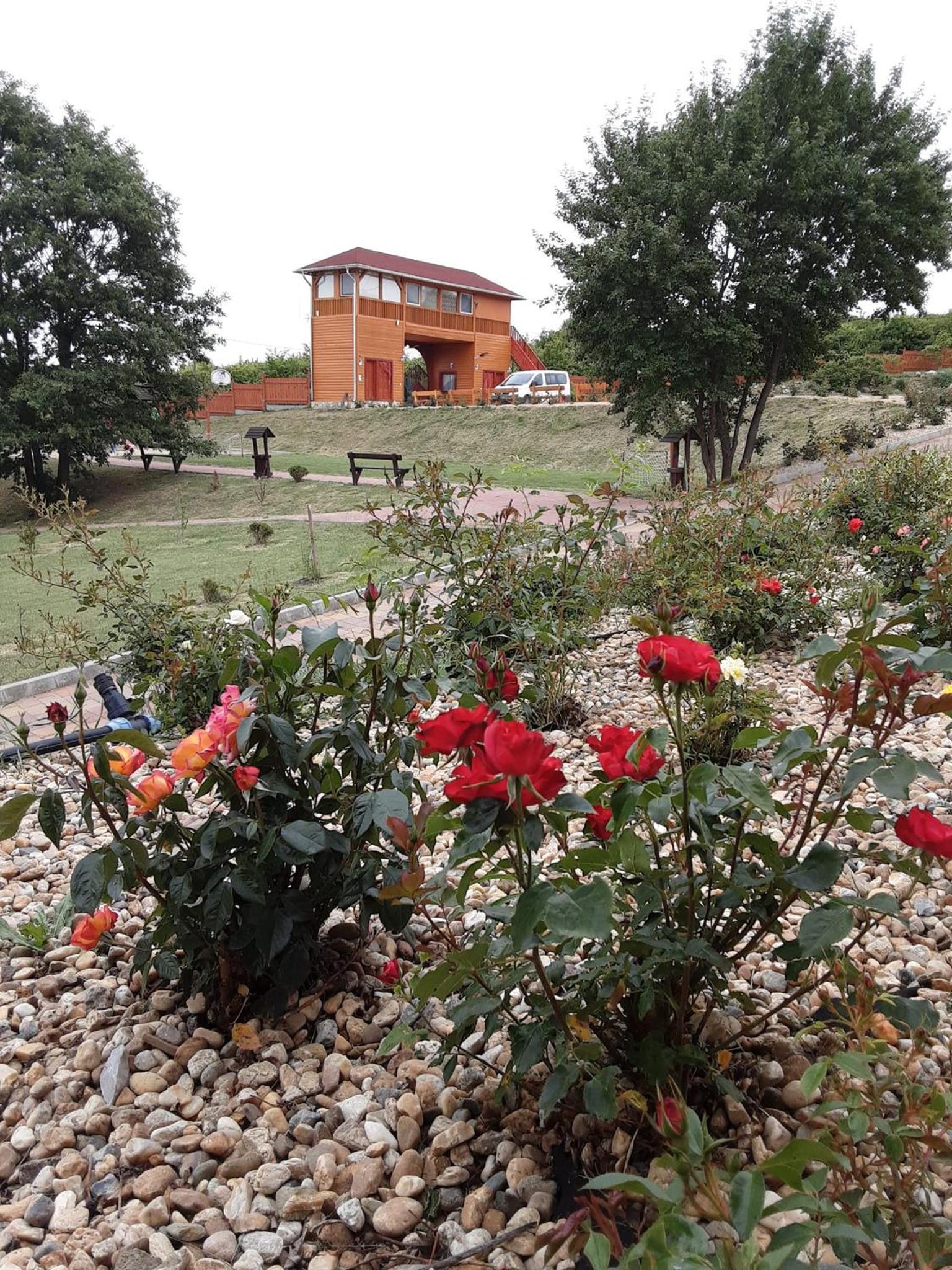 Photo 14