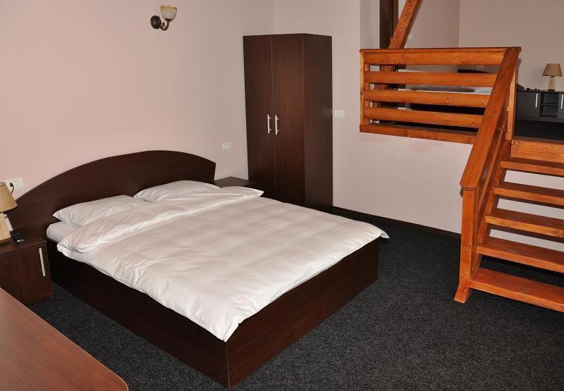 Pensiunea Valcinet view 2