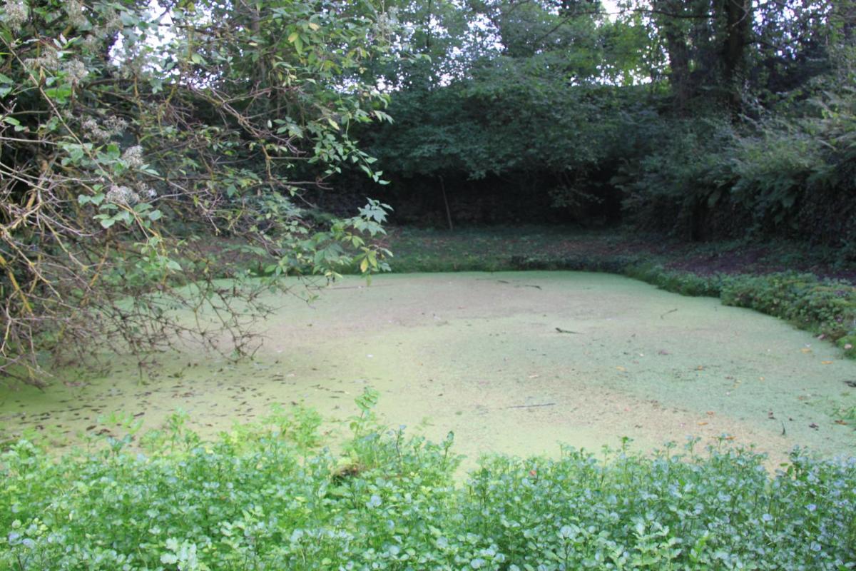 Photo 42