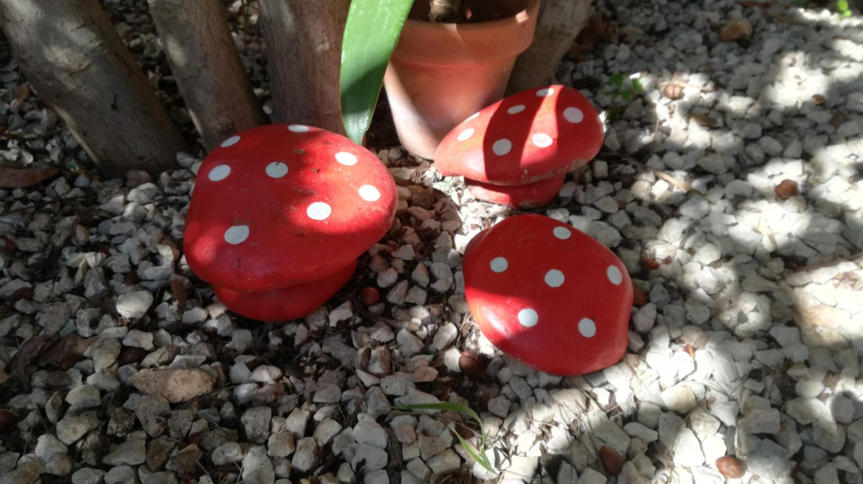 Photo 22