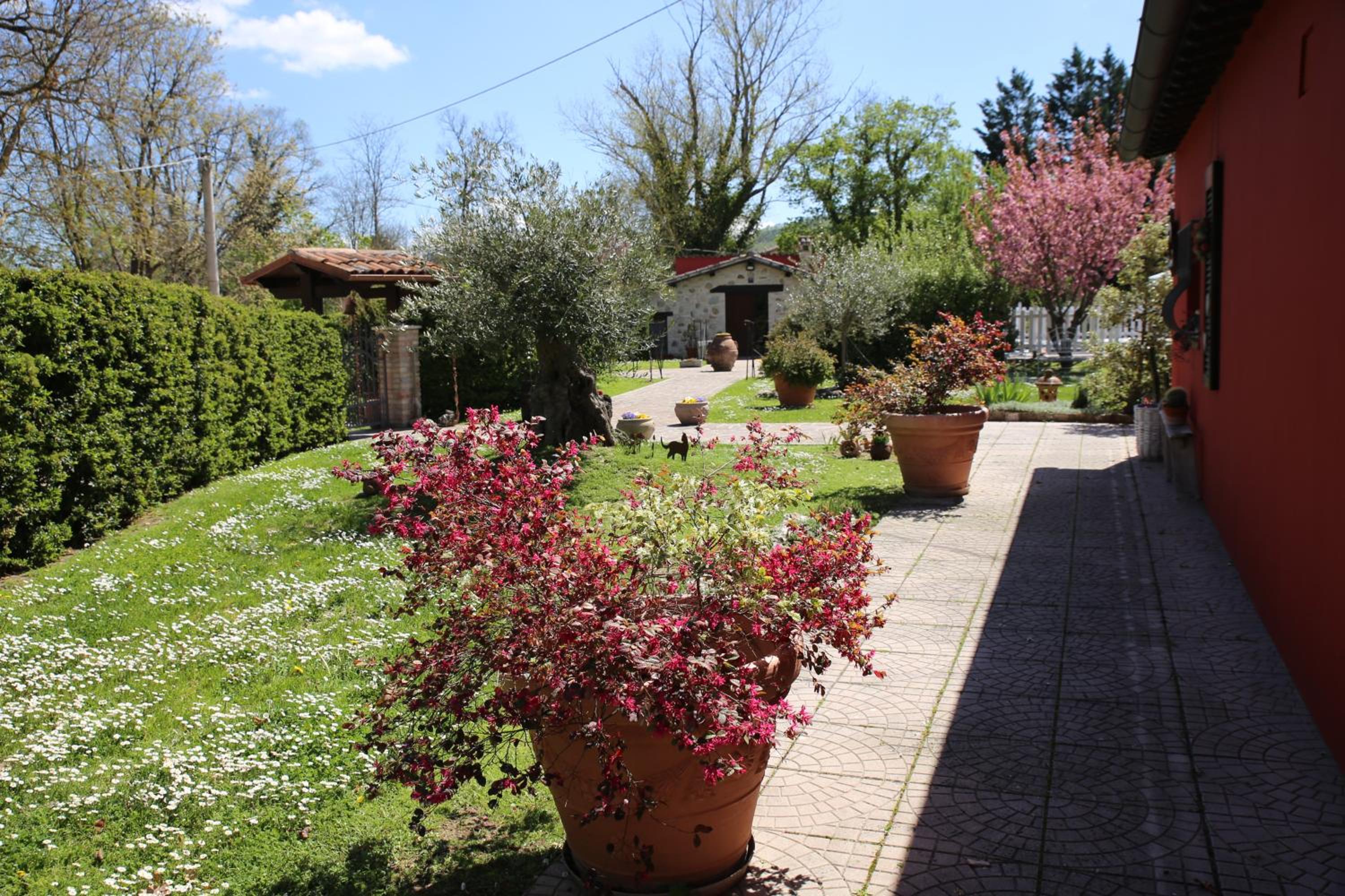 Photo 25