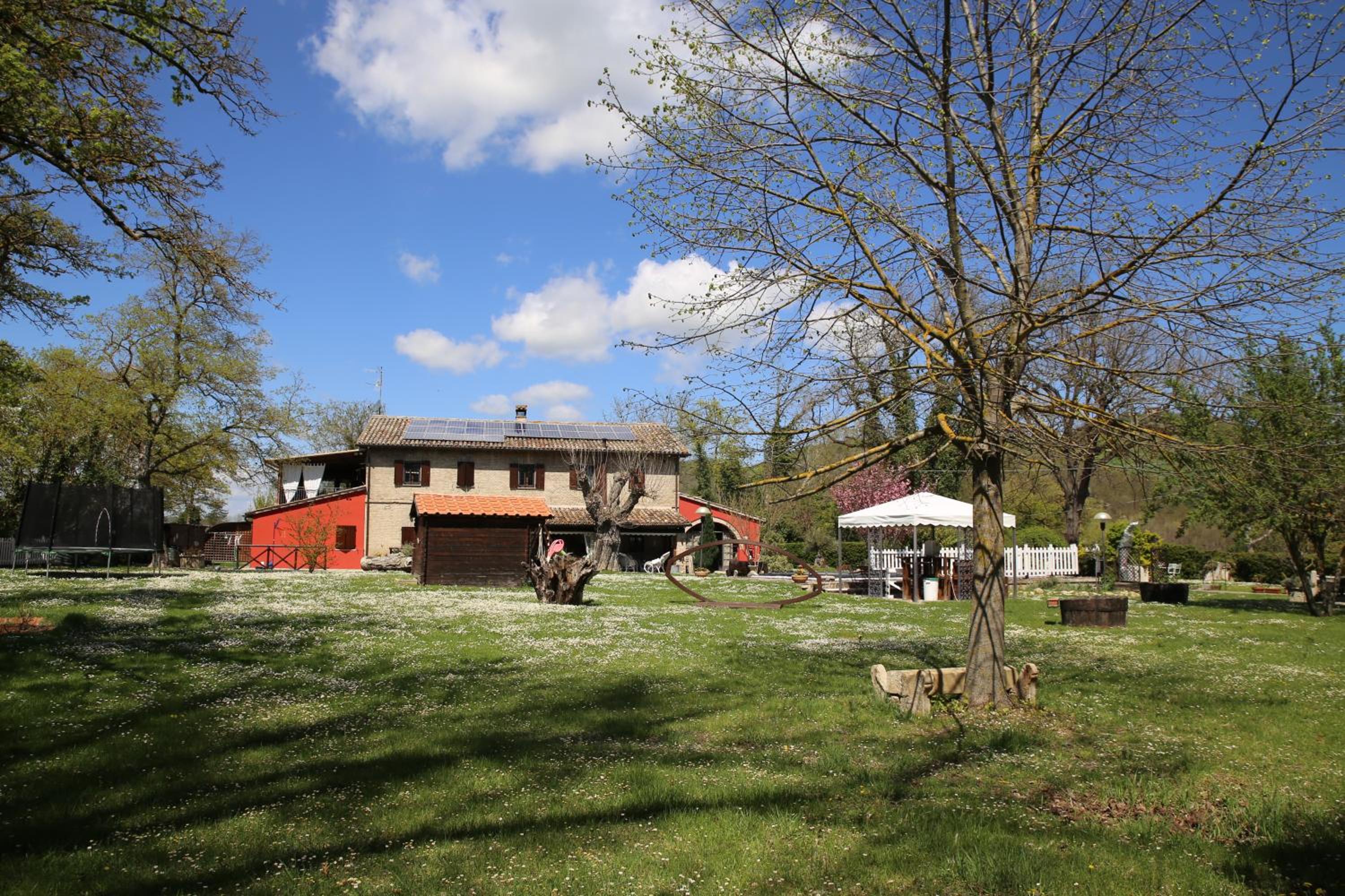 Photo 35