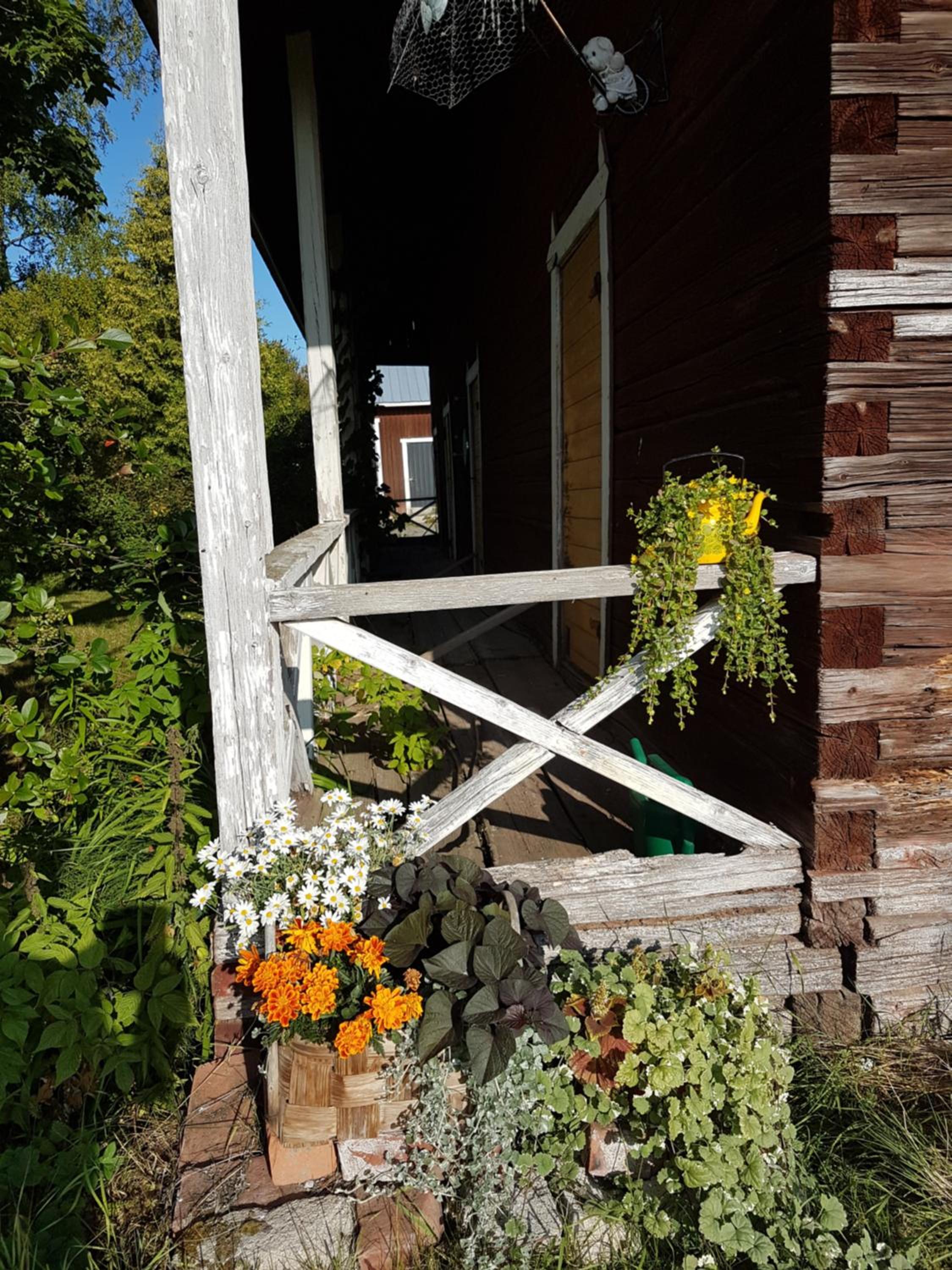 Photo 21