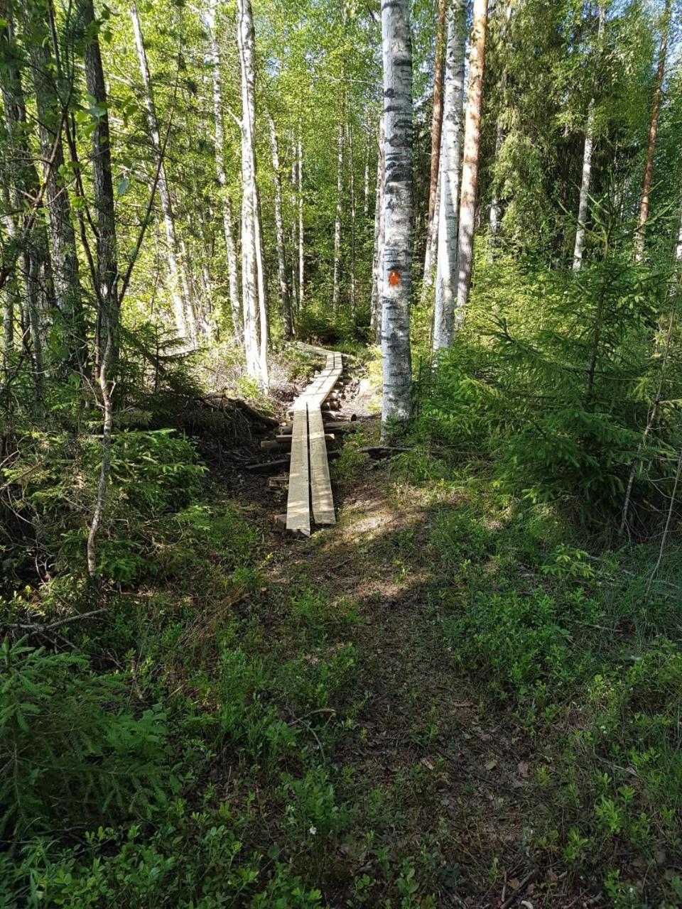 Photo 32