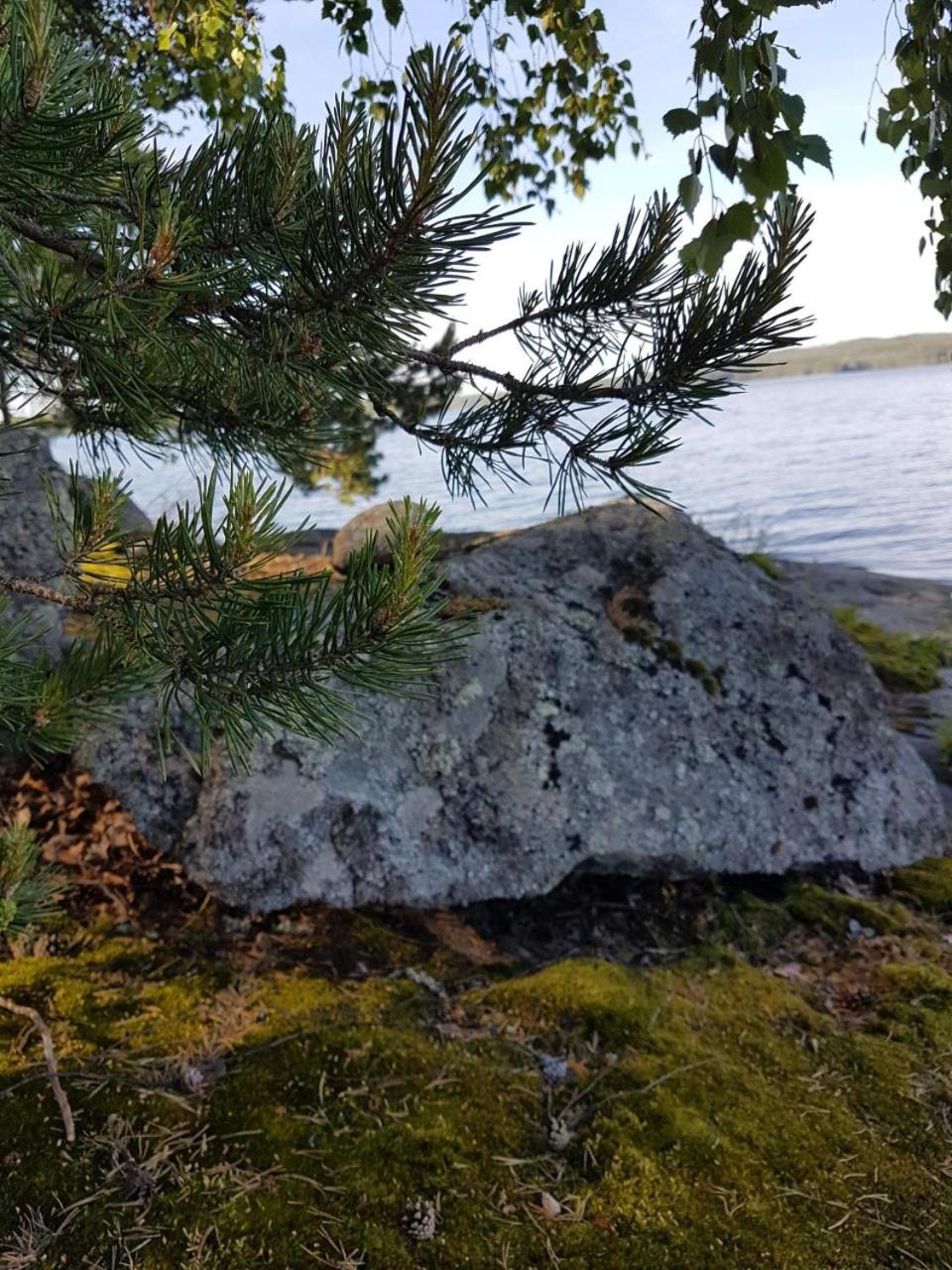 Photo 28
