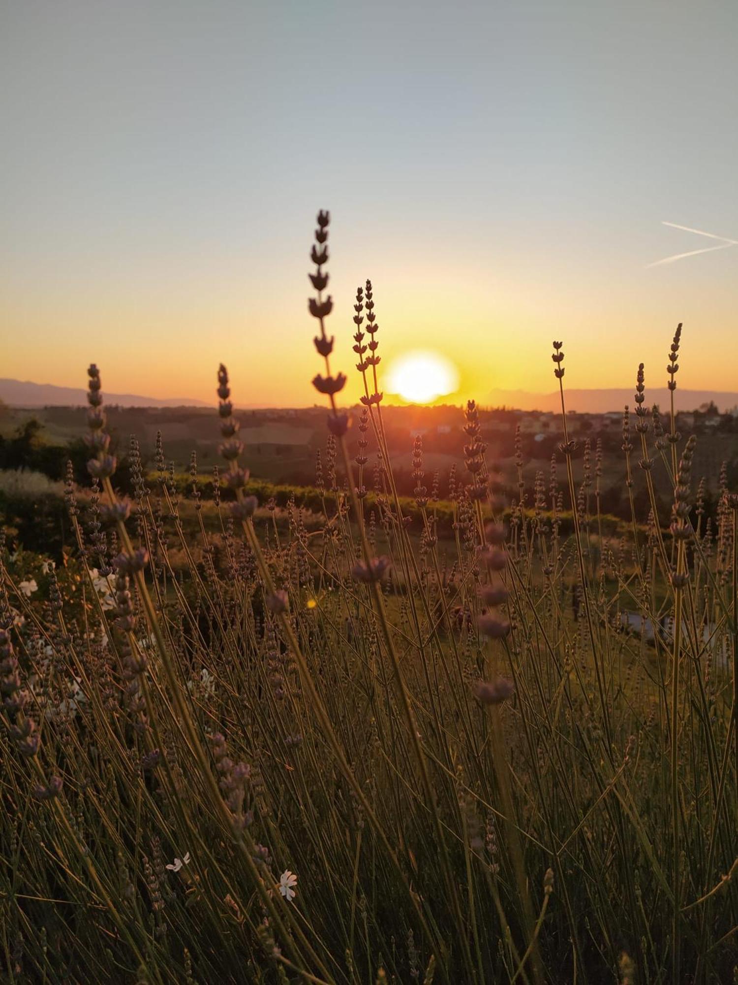 Agriturismo Villa Adimari
