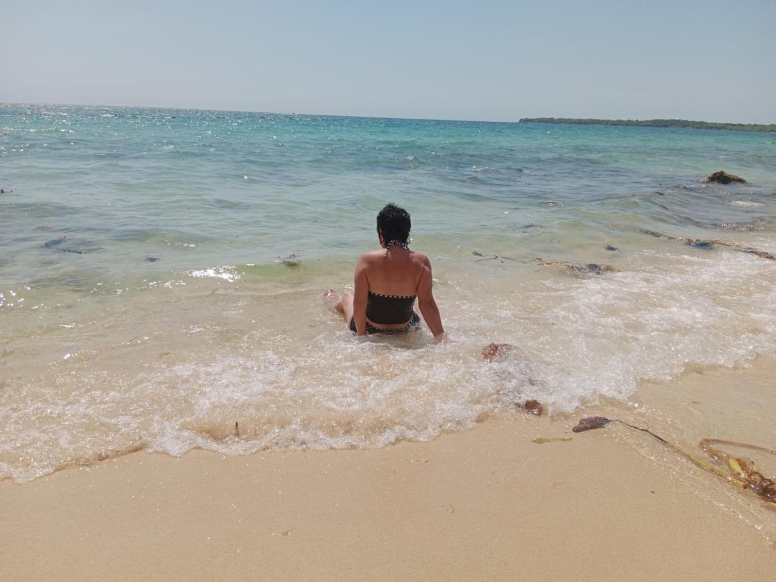 Playa Tortuga Carey