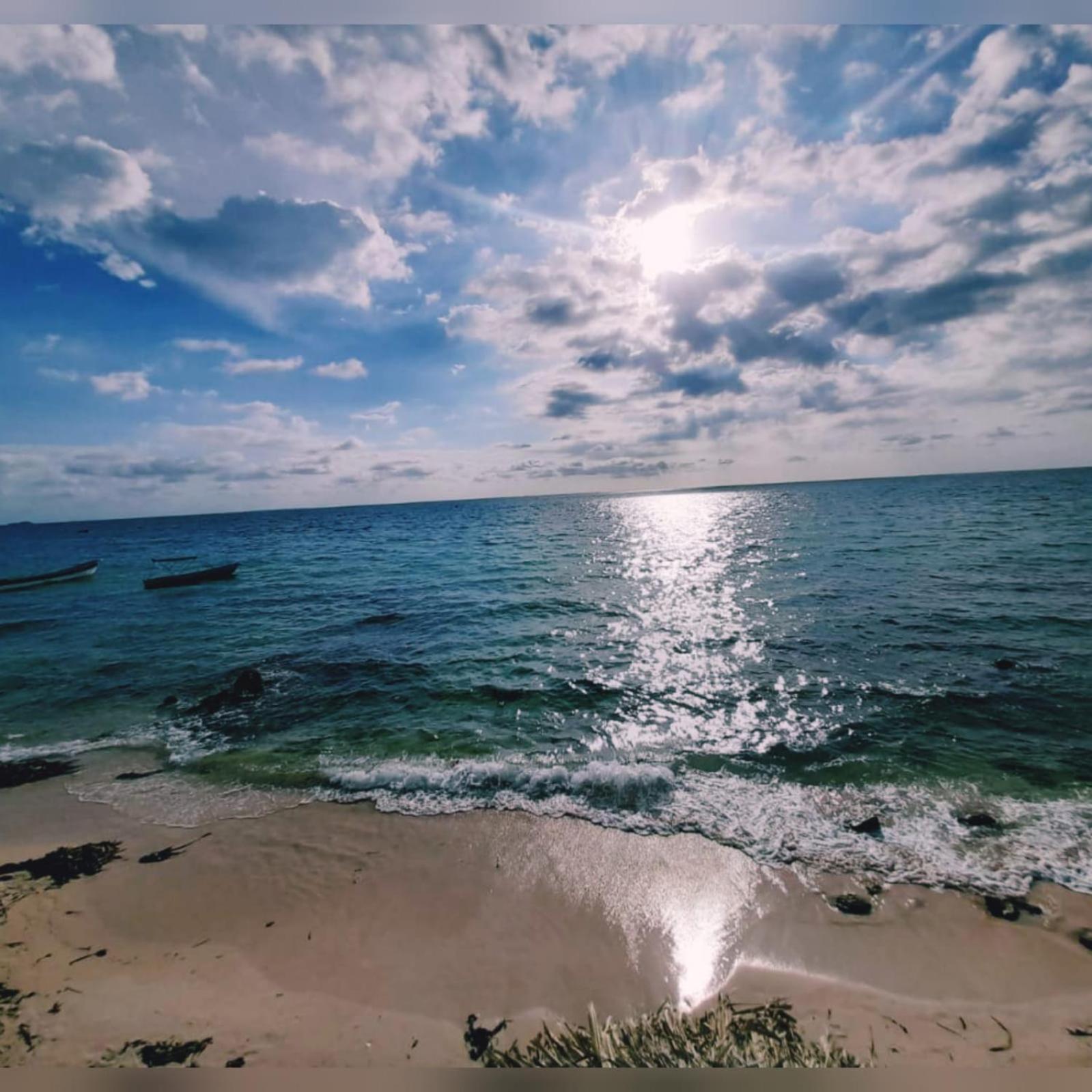 Playa Tortuga Carey