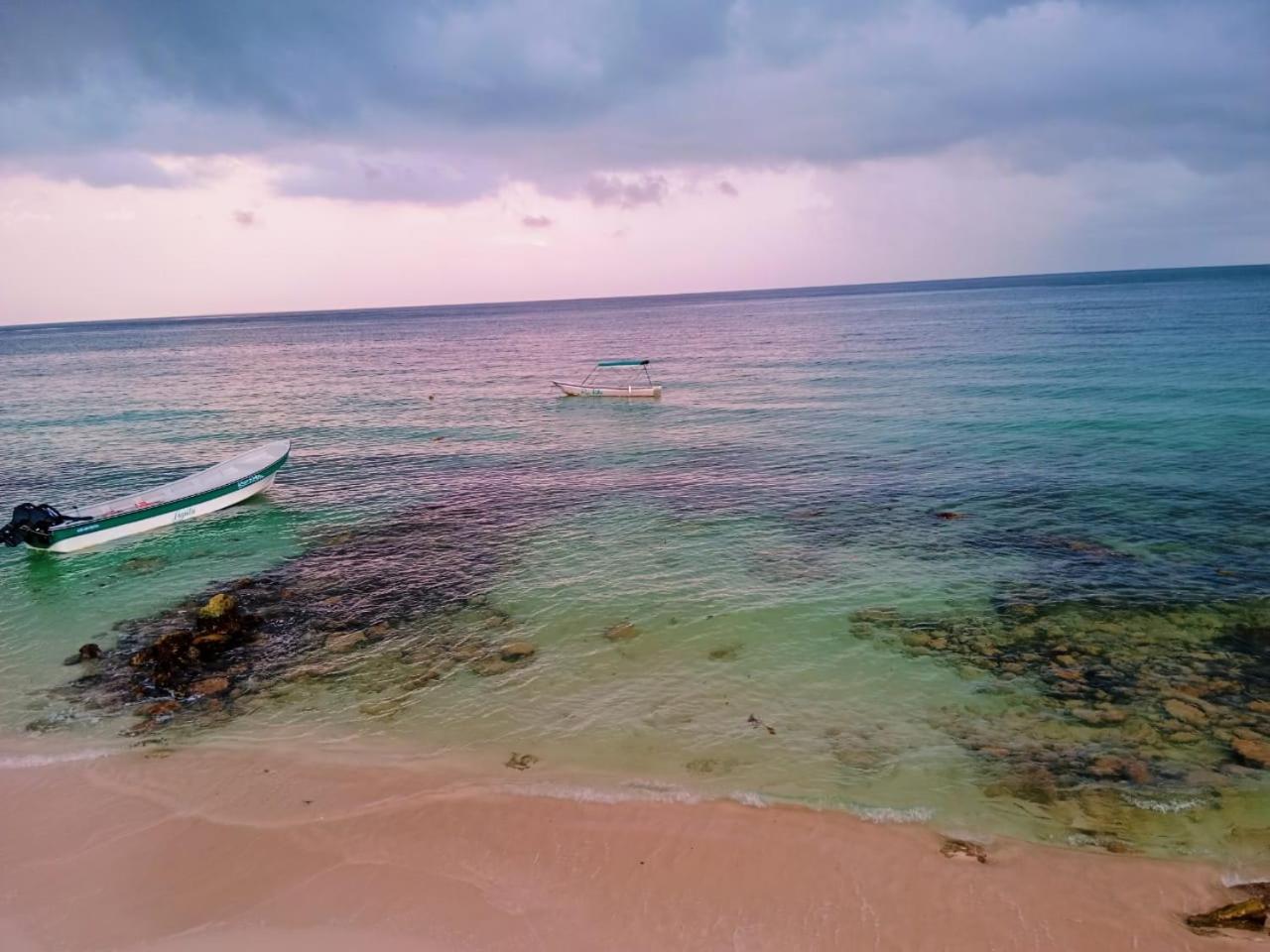 Playa Tortuga Carey