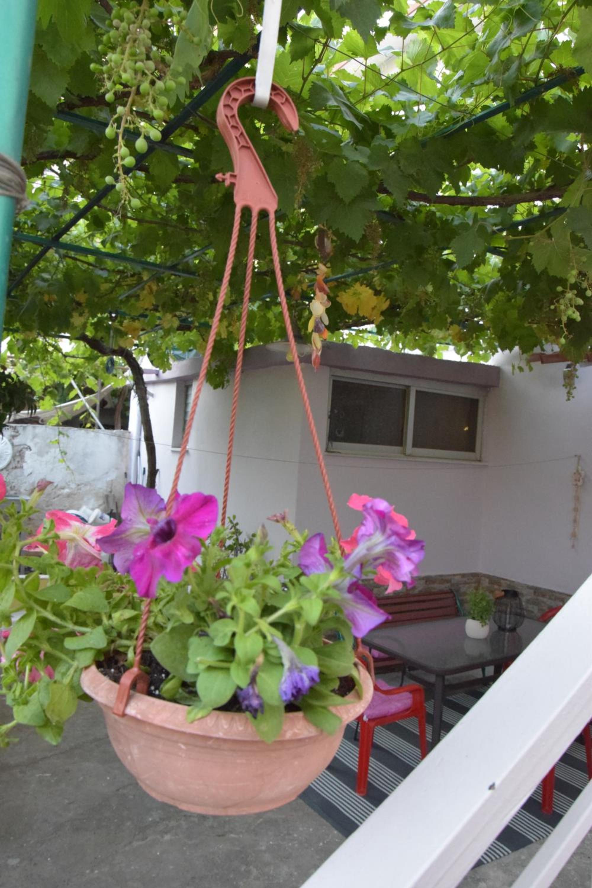 Kalamata home, Agia triada view 5