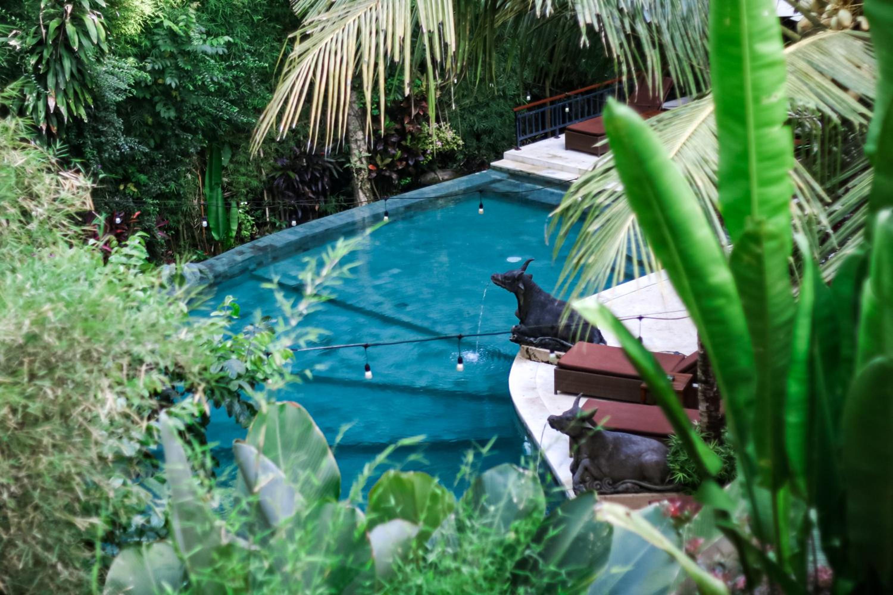 Jungle Haven Resort Central Ubud