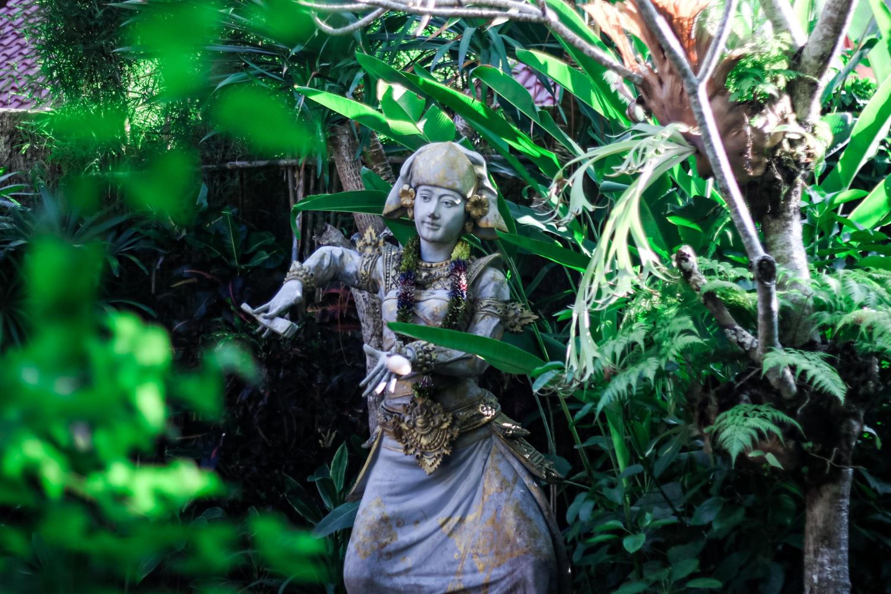 Jungle Haven Resort Central Ubud