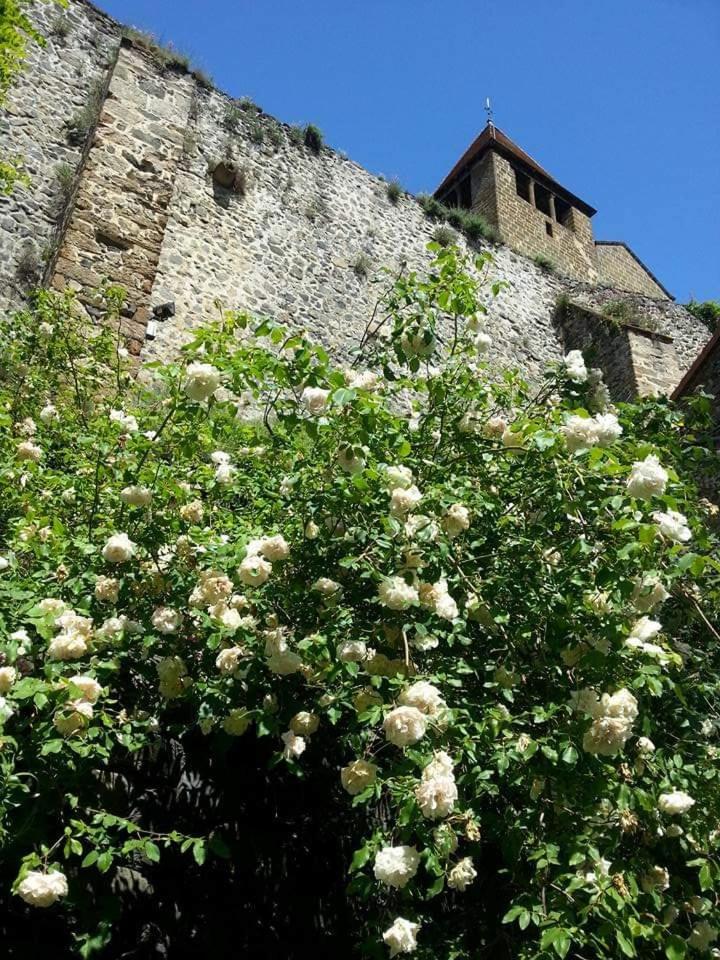 La Grande Maison view 2
