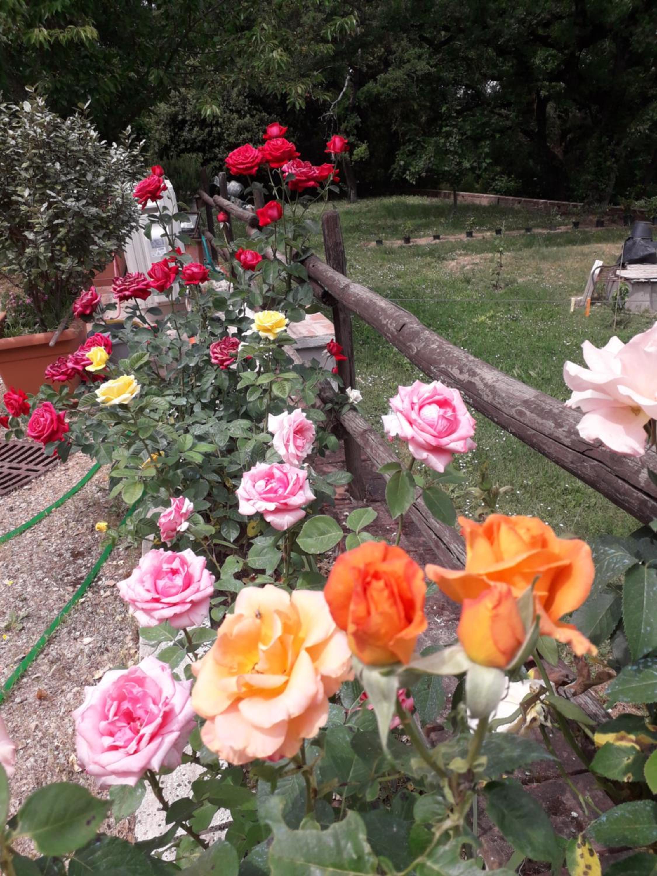 Photo 44