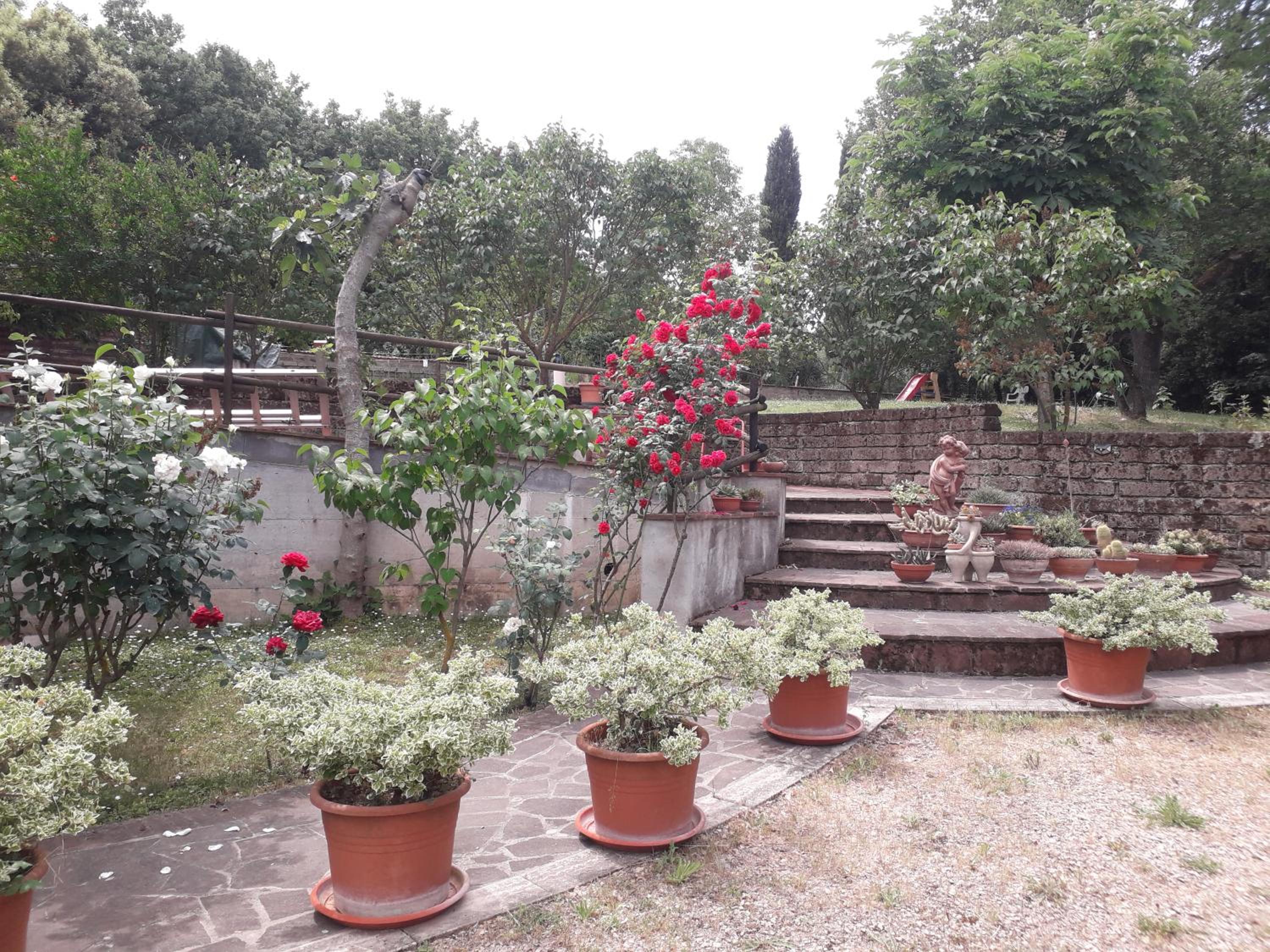 Photo 43