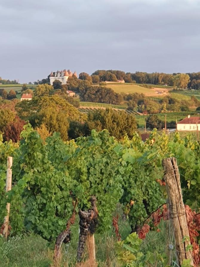 Clair de Vigne view 4