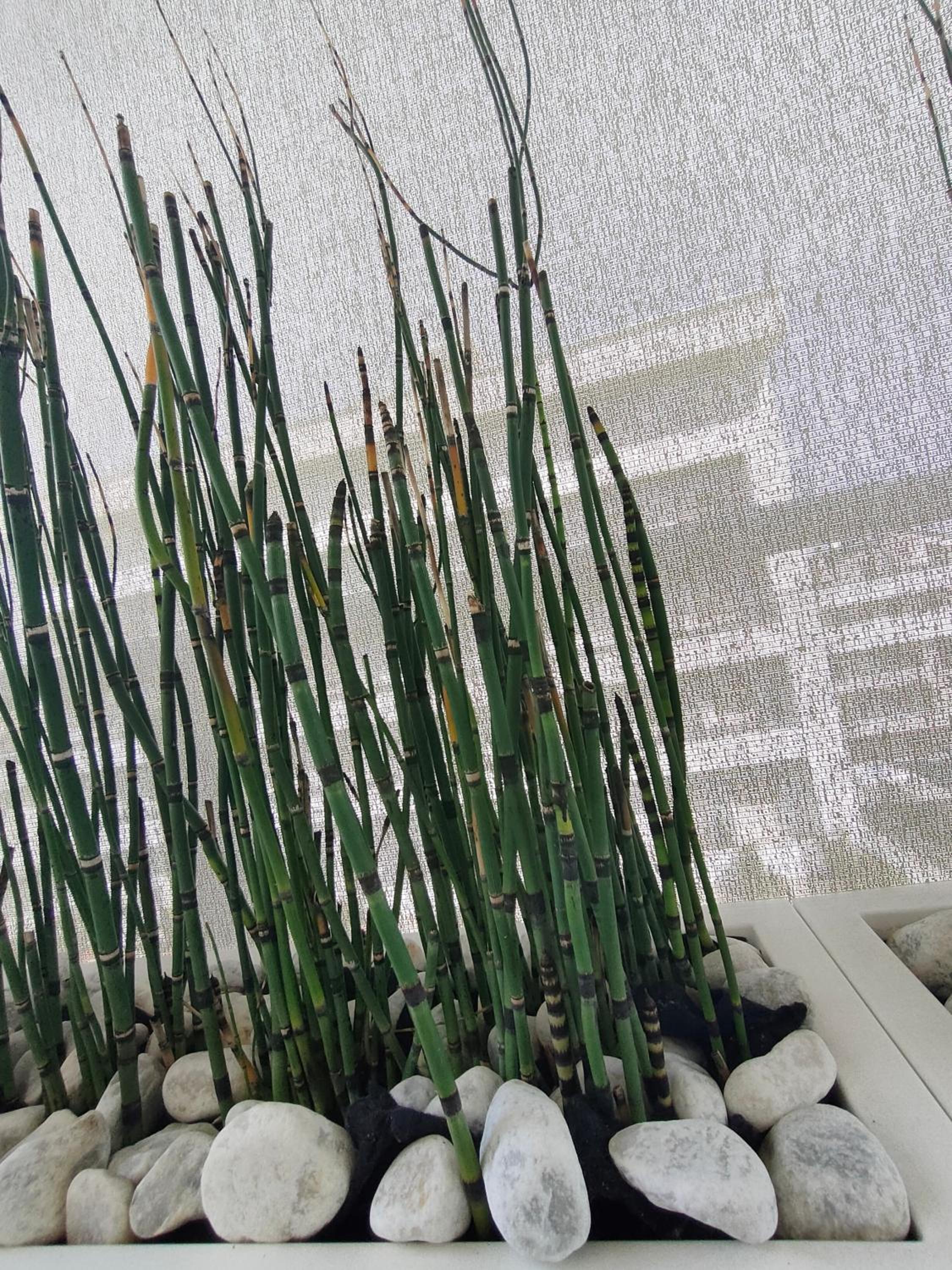 Ellenove holiday house photo 4