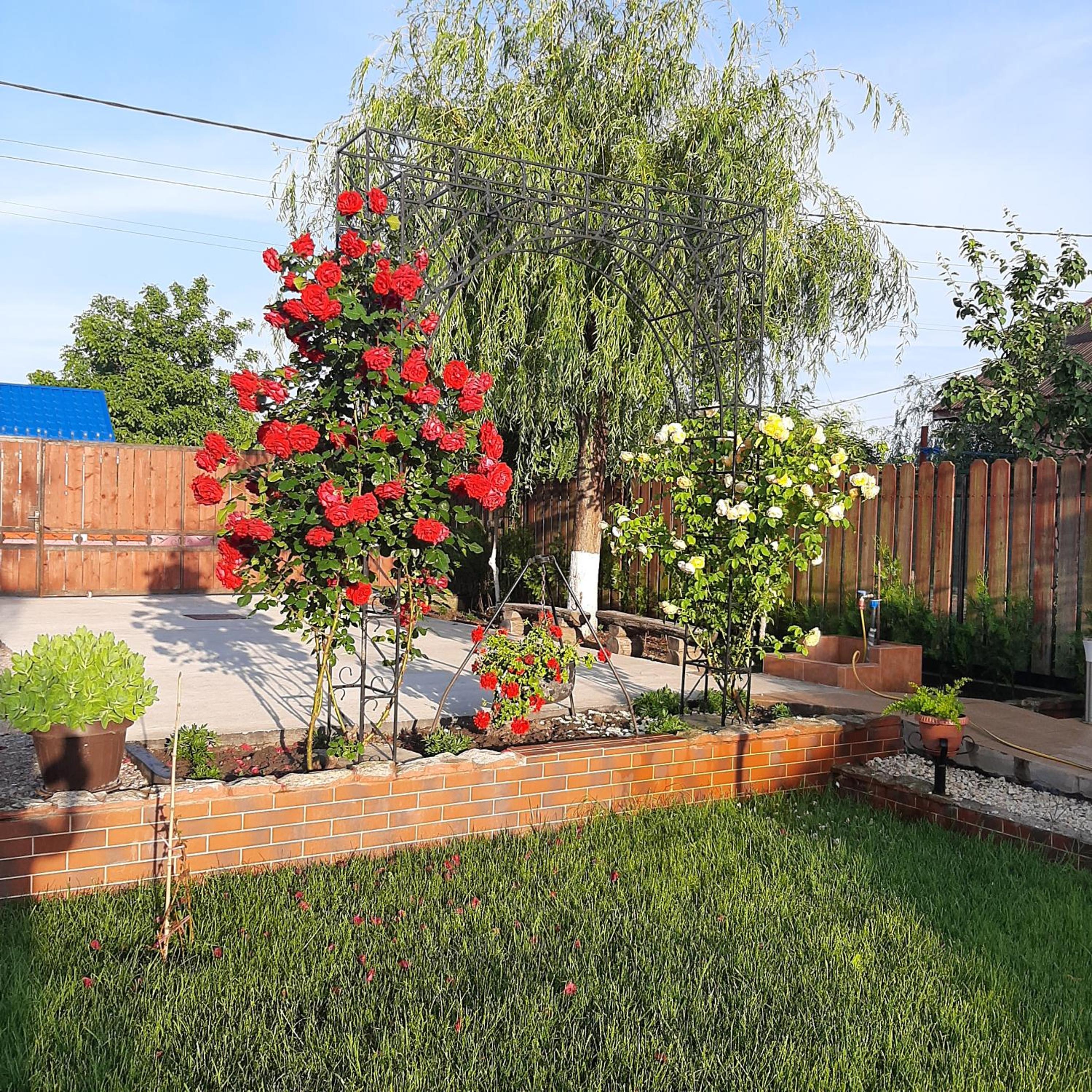Photo 17