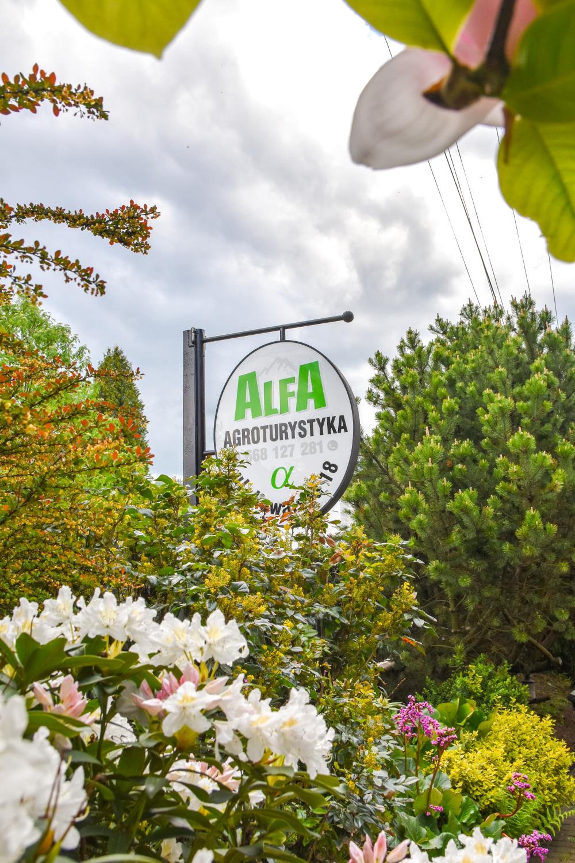 Agroturystyka Alfa view 3