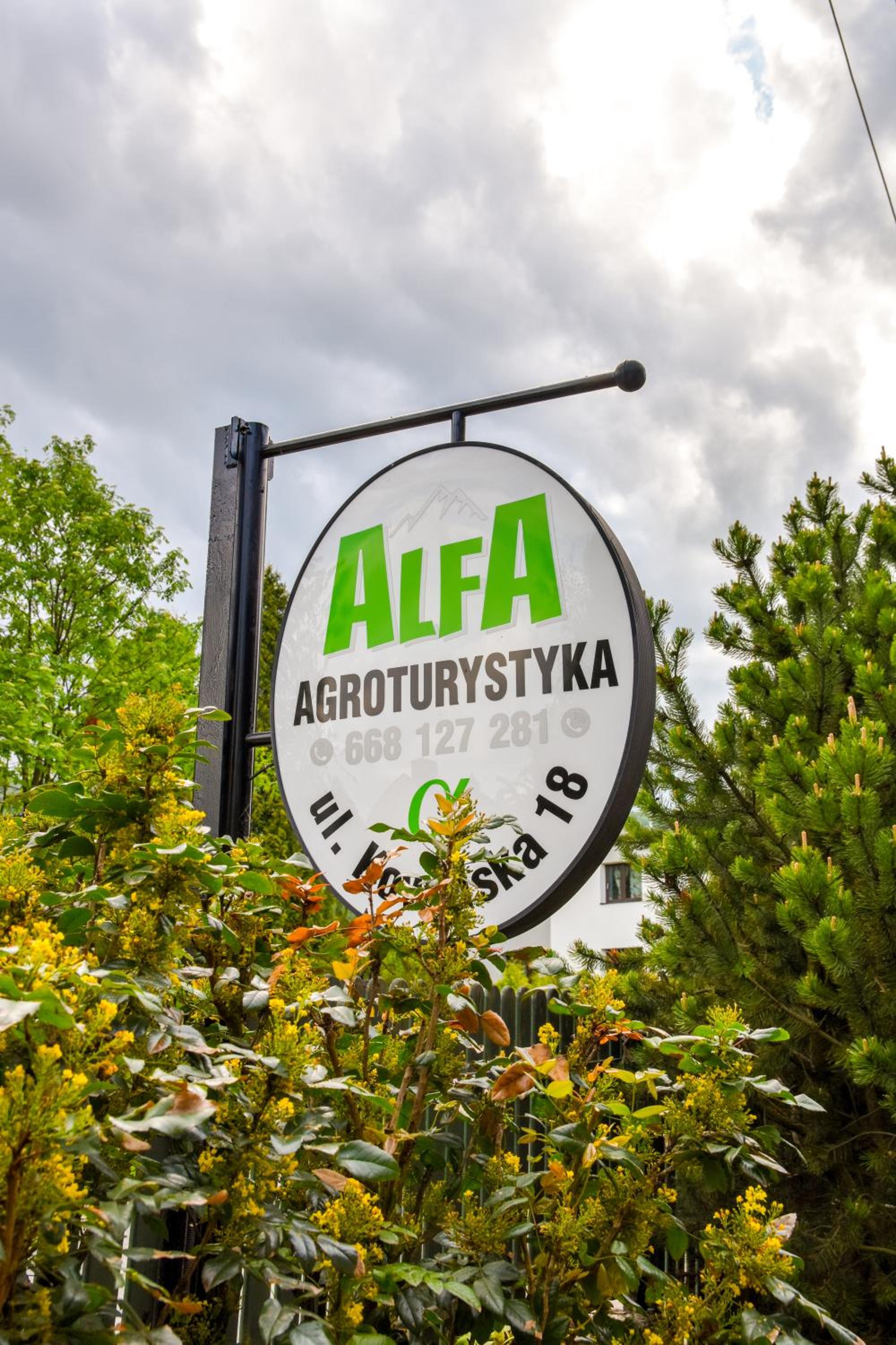 Agroturystyka Alfa view 5