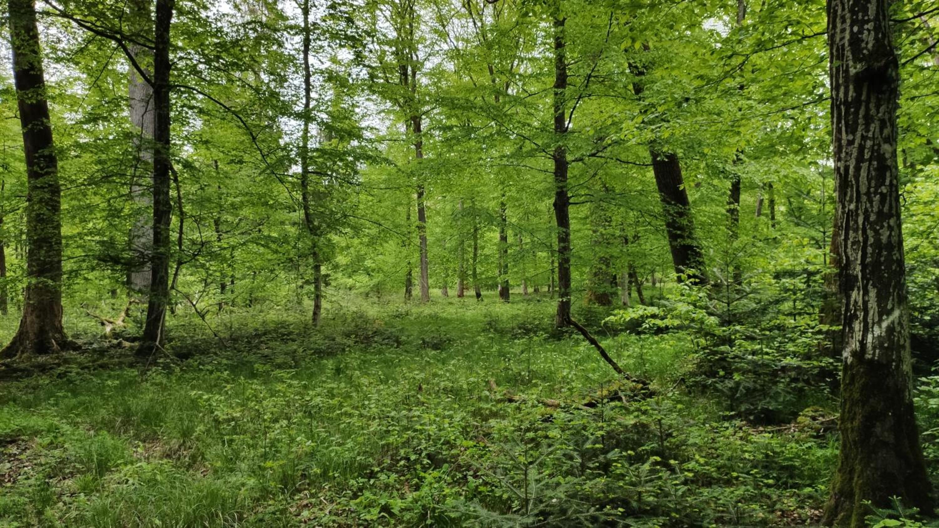 Ferienwohnung Hemer