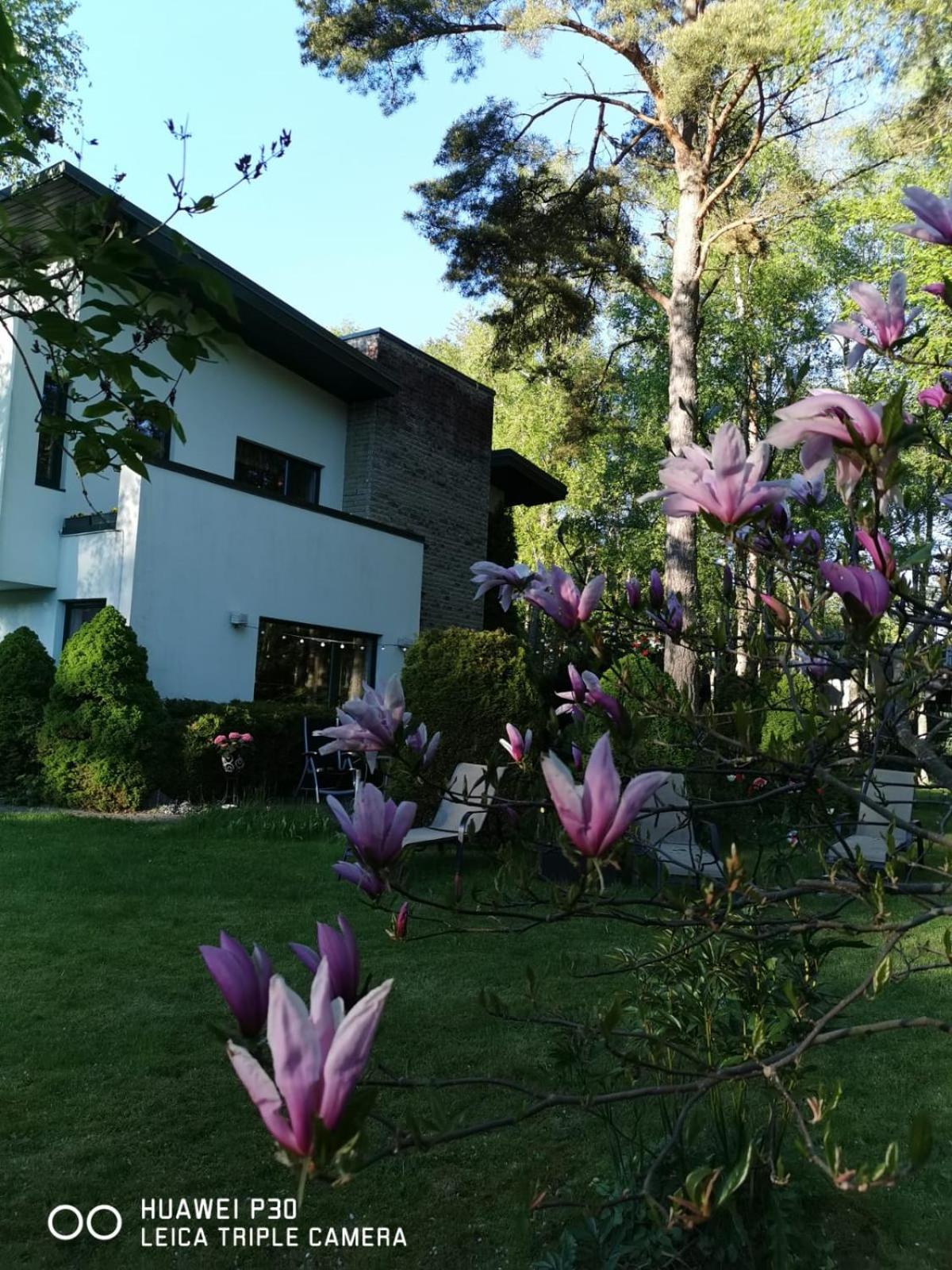 Beach Villa in Tallinn near city view 3