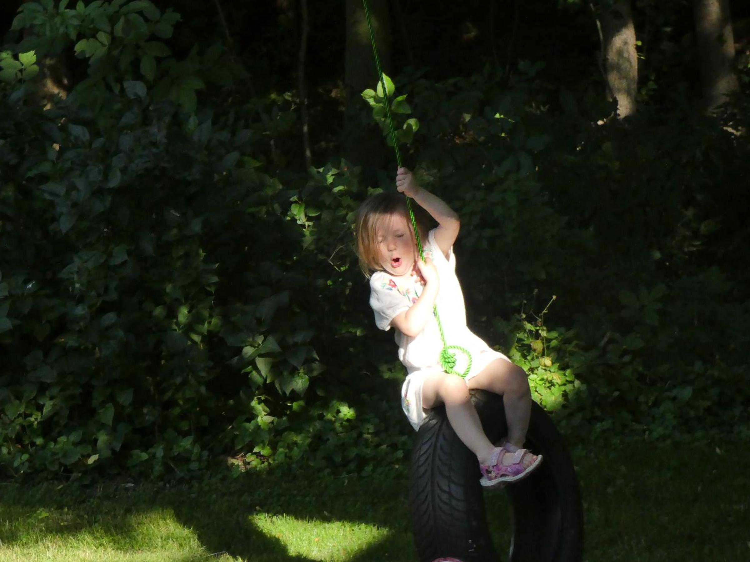 Photo 41