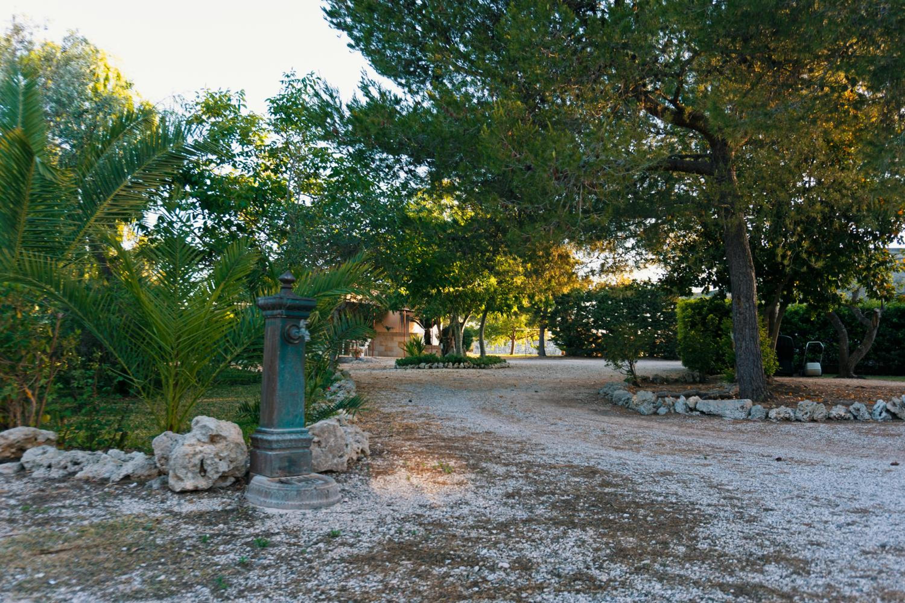 Photo 35