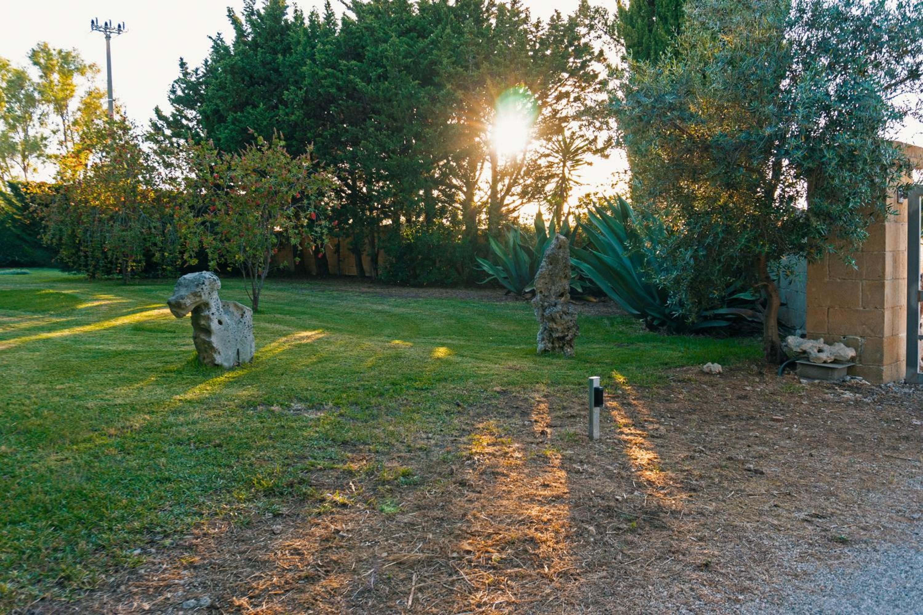 Photo 36