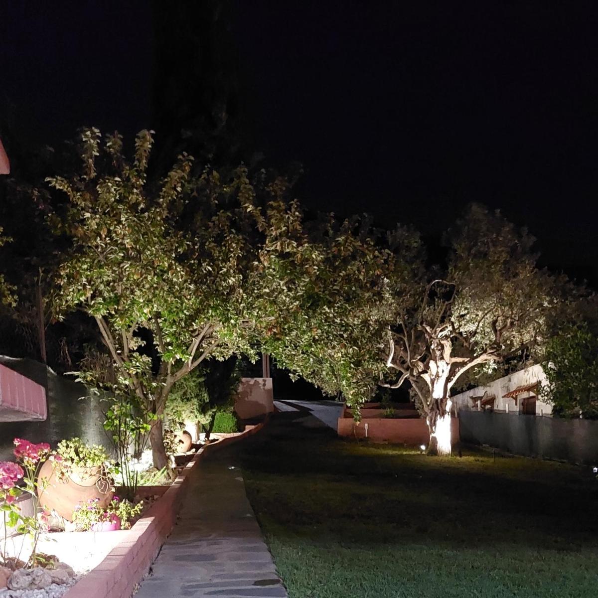 Photo 29