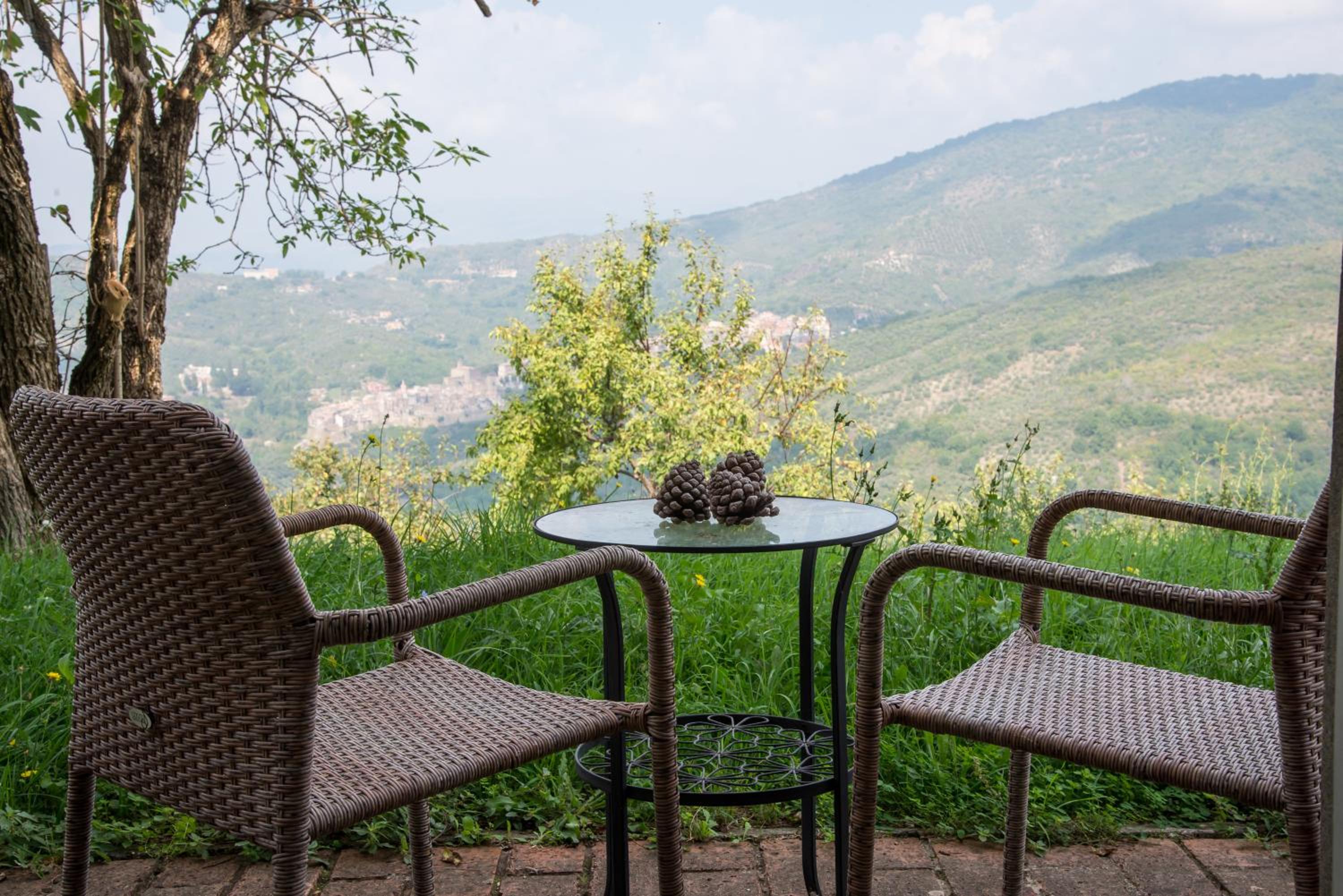 balance & terrace