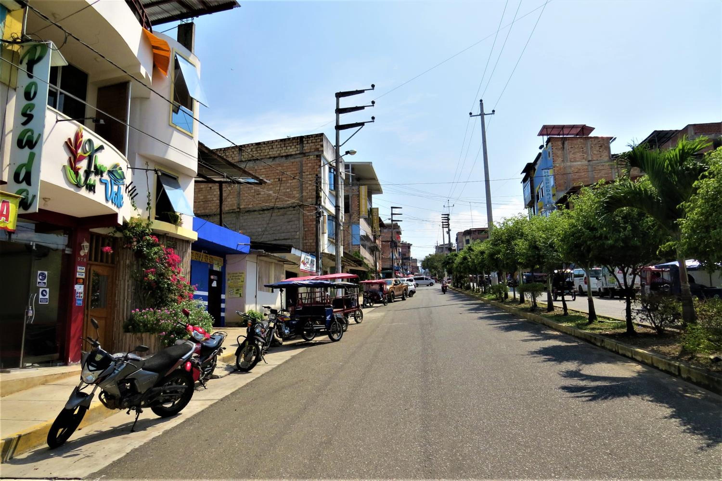 Flor del Valle Posada