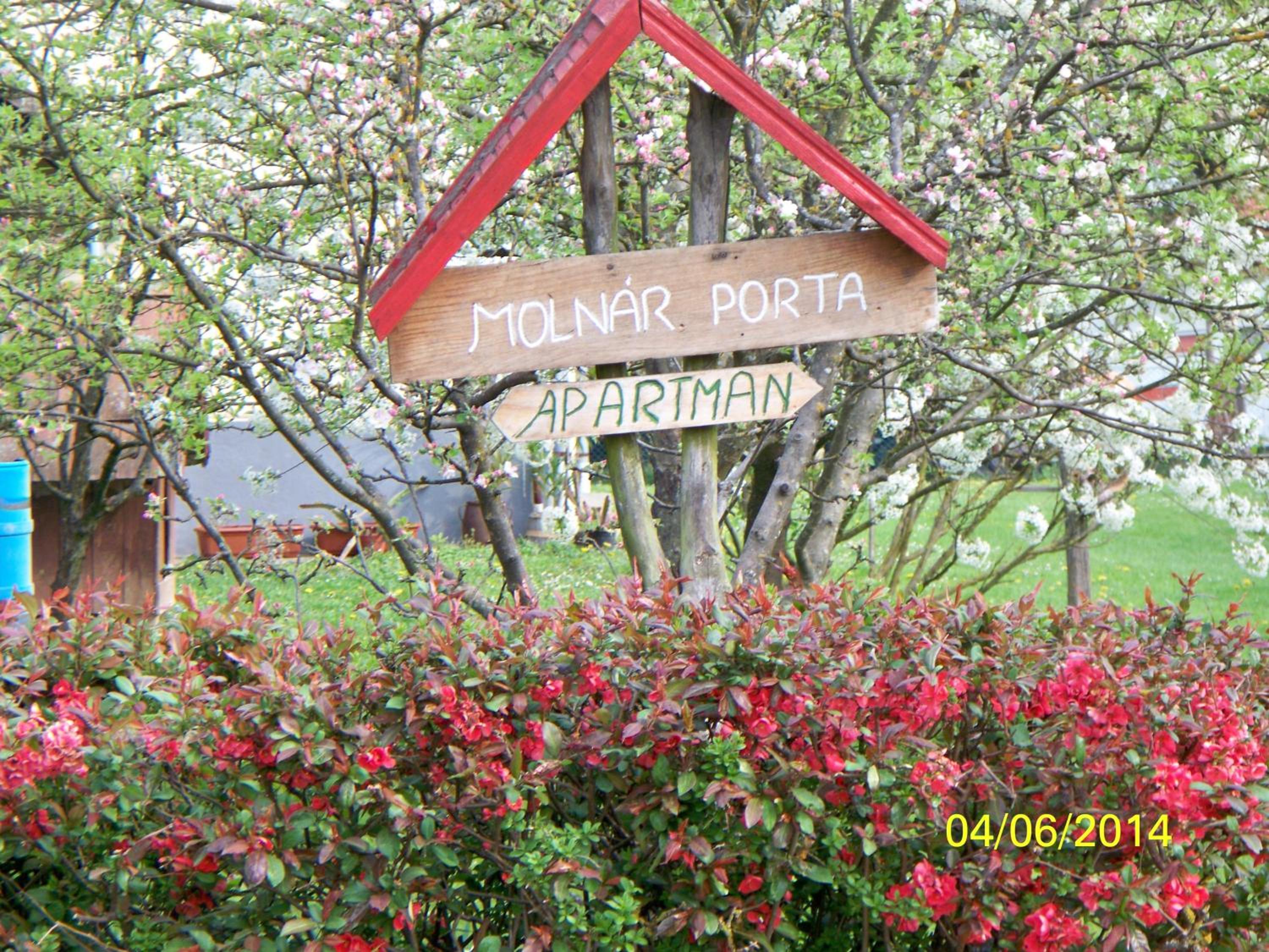 Photo 45