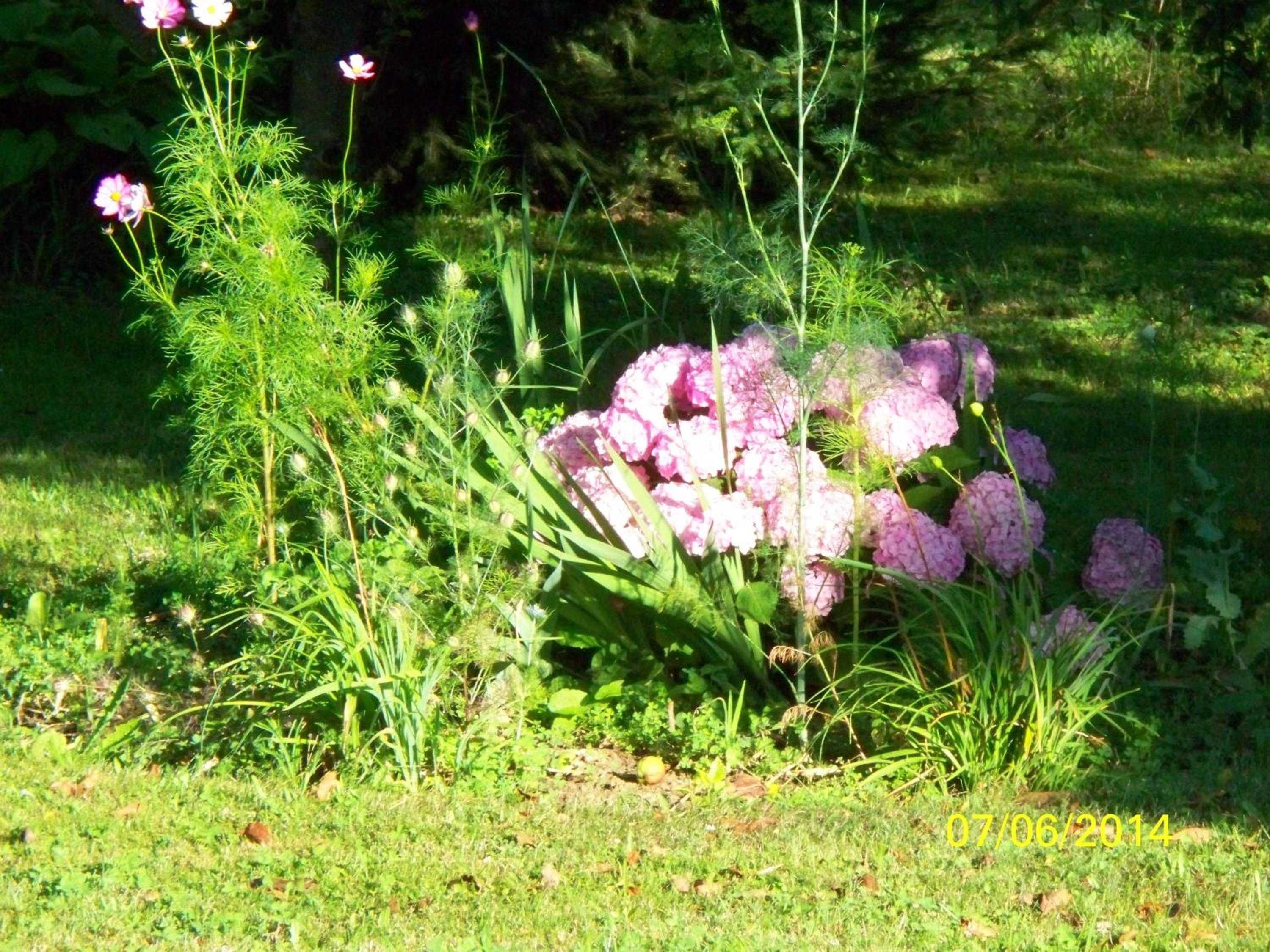 Photo 48