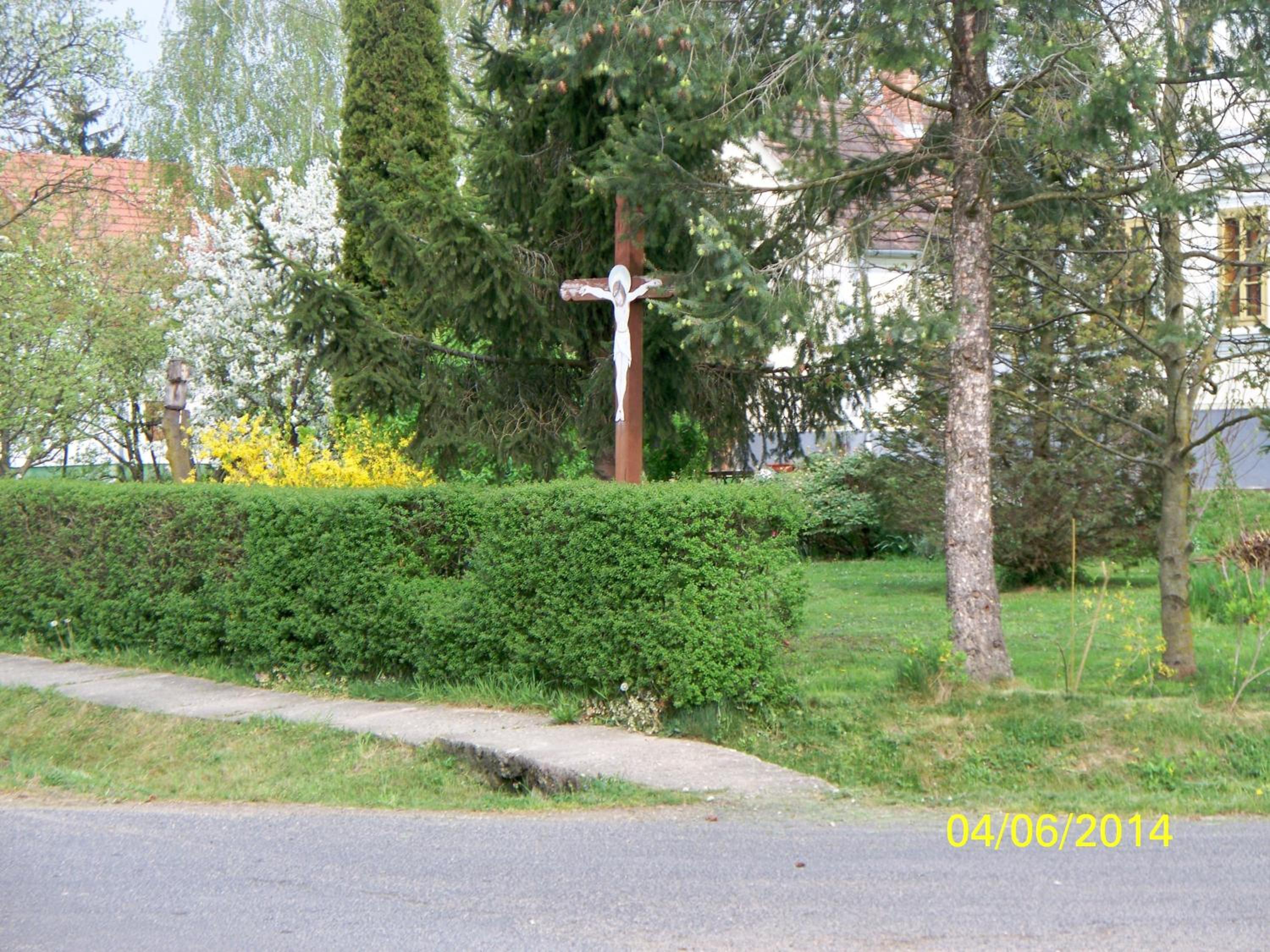 Photo 50
